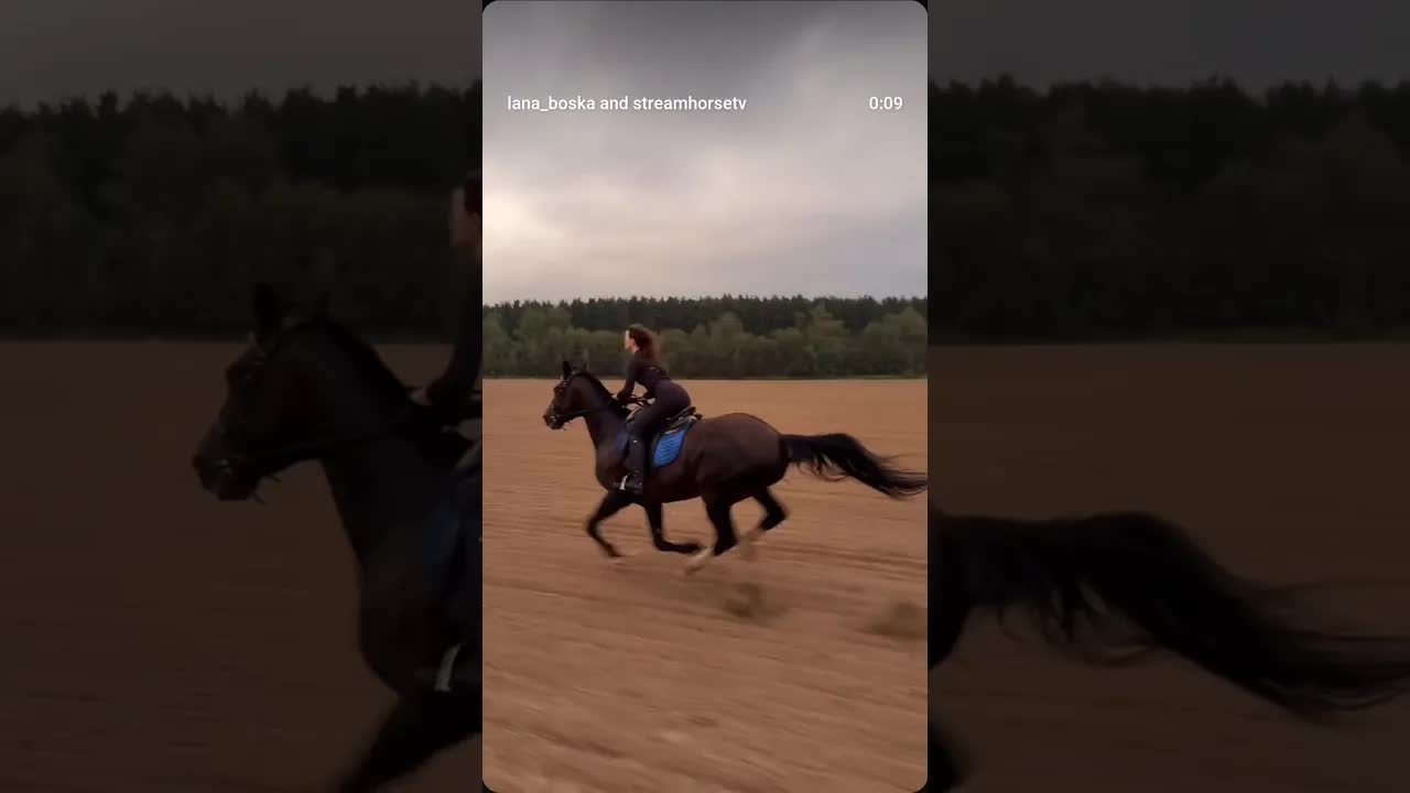 weekend rides 🏇