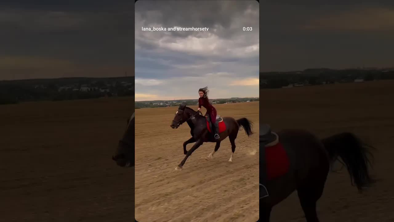 stay wild 🏇