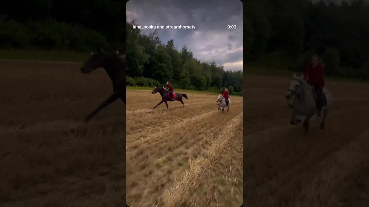 no brakes