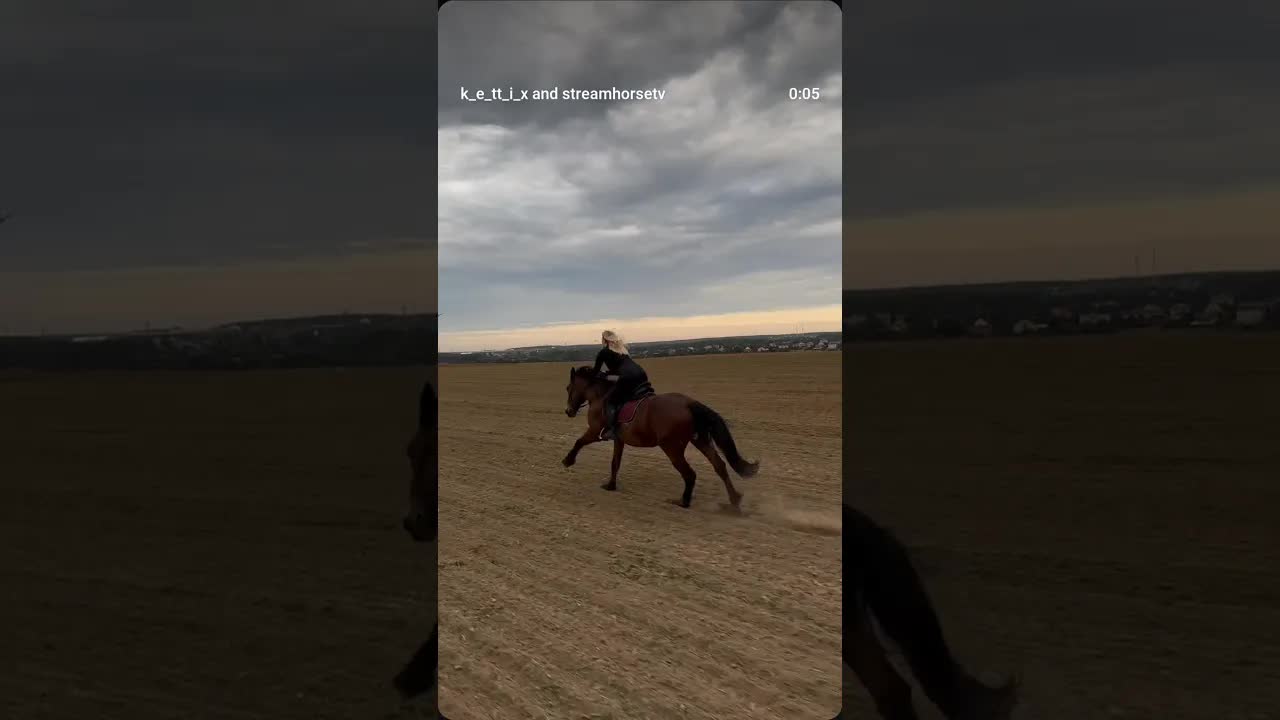 🙌🖤🐴