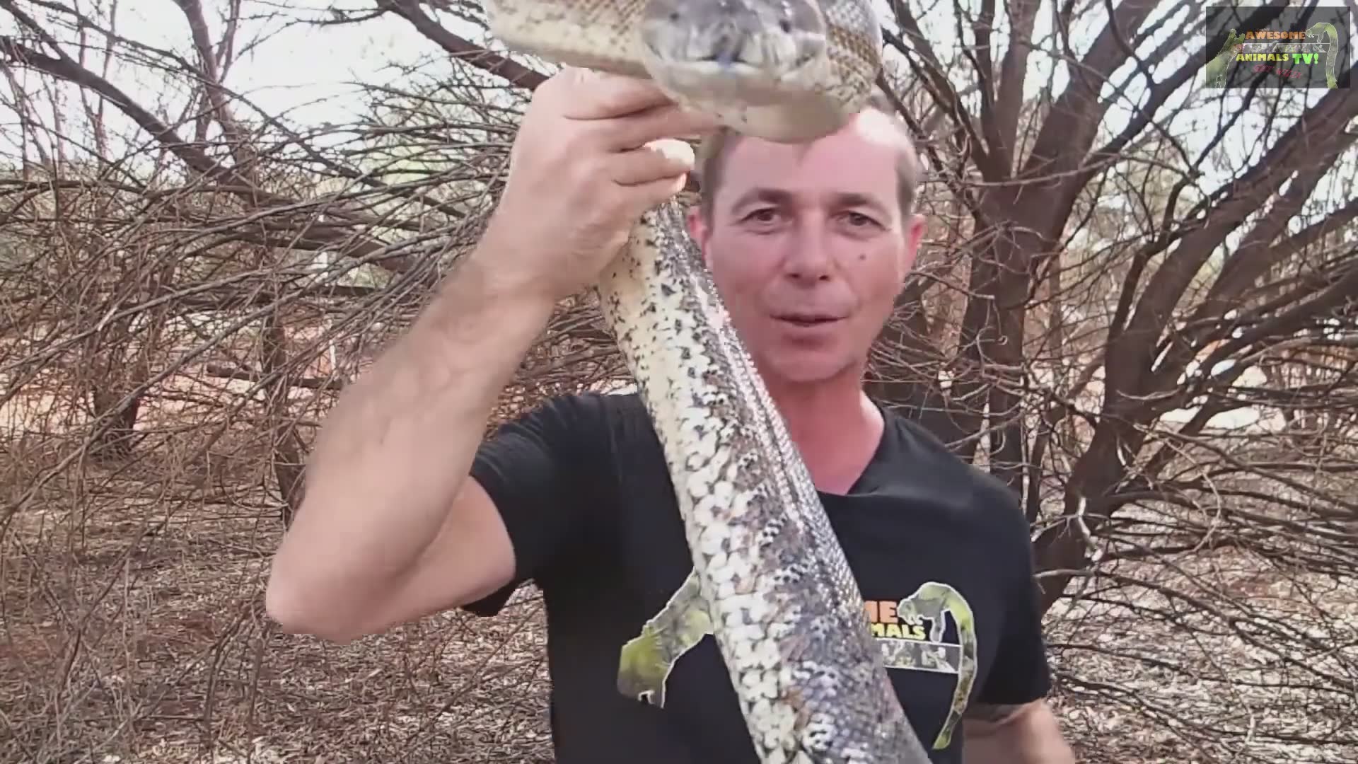 Snake discovery | Krait one of the most venomous snakes in Asia with 2 step snake