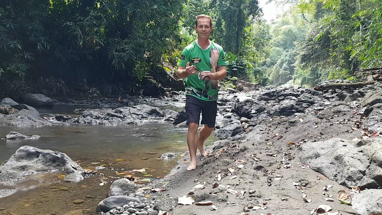 Snake discovery | Rainbow serpent snake man sun beam snake snakes Bali