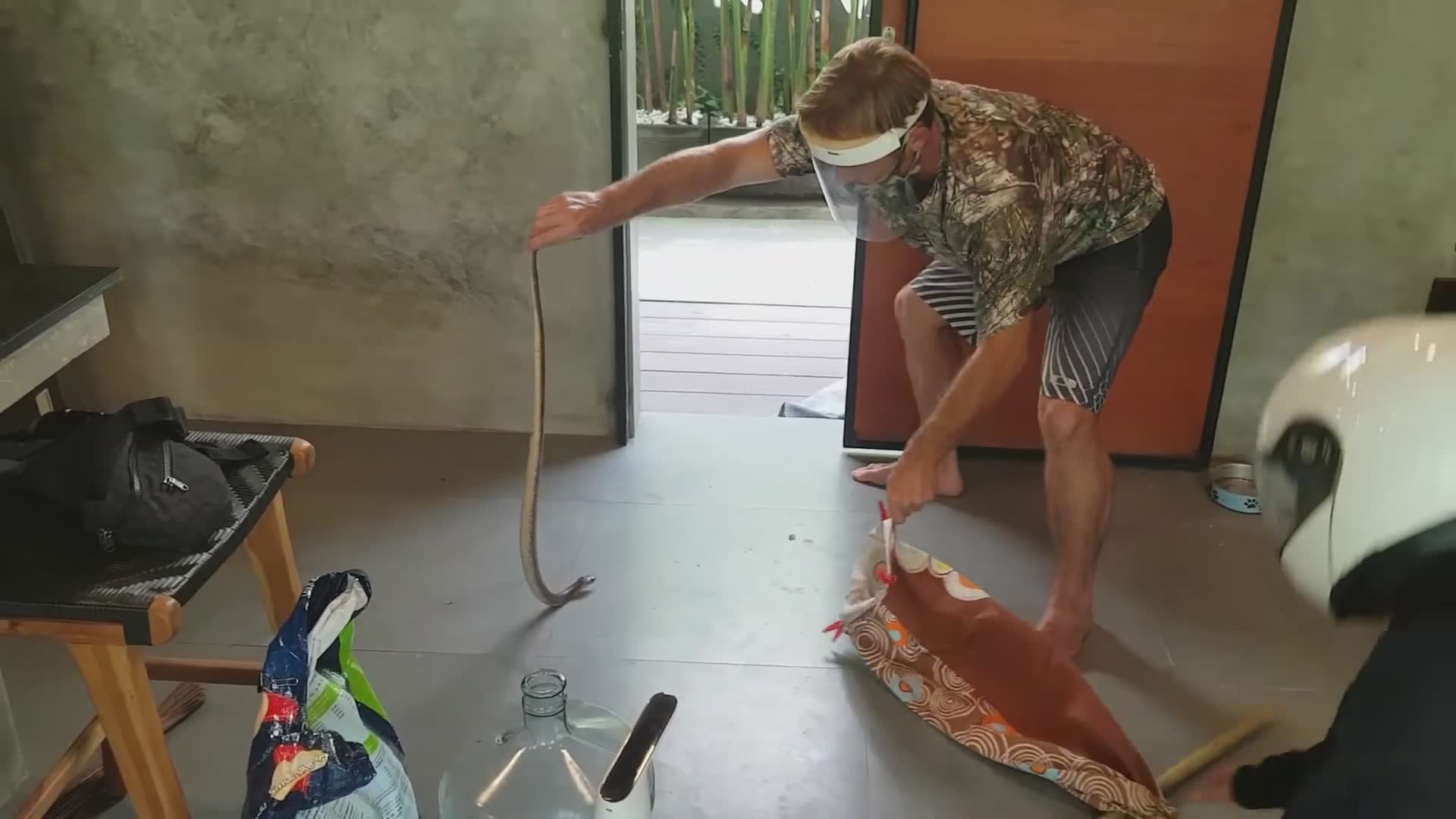 Snake discovery | Spitting cobra vs motorcycle helmet girl