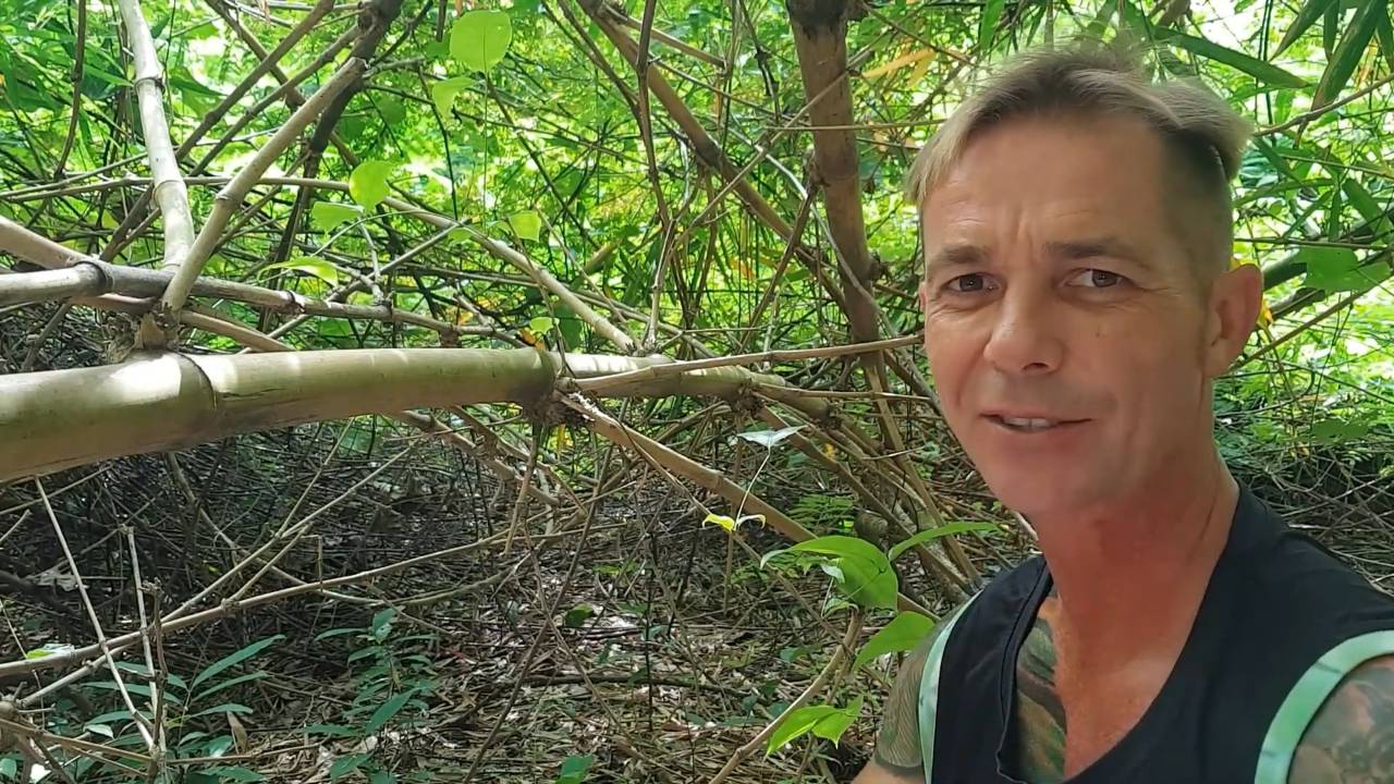 Snake strikes face | Venomous encounter