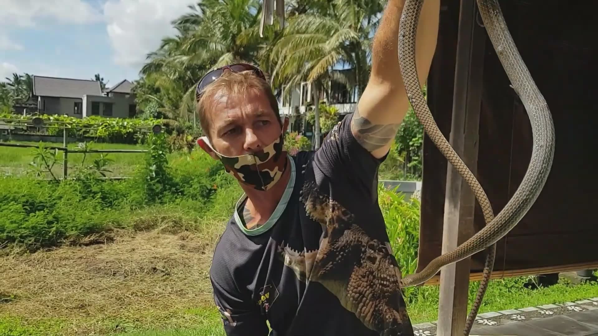 Snake venomous warning