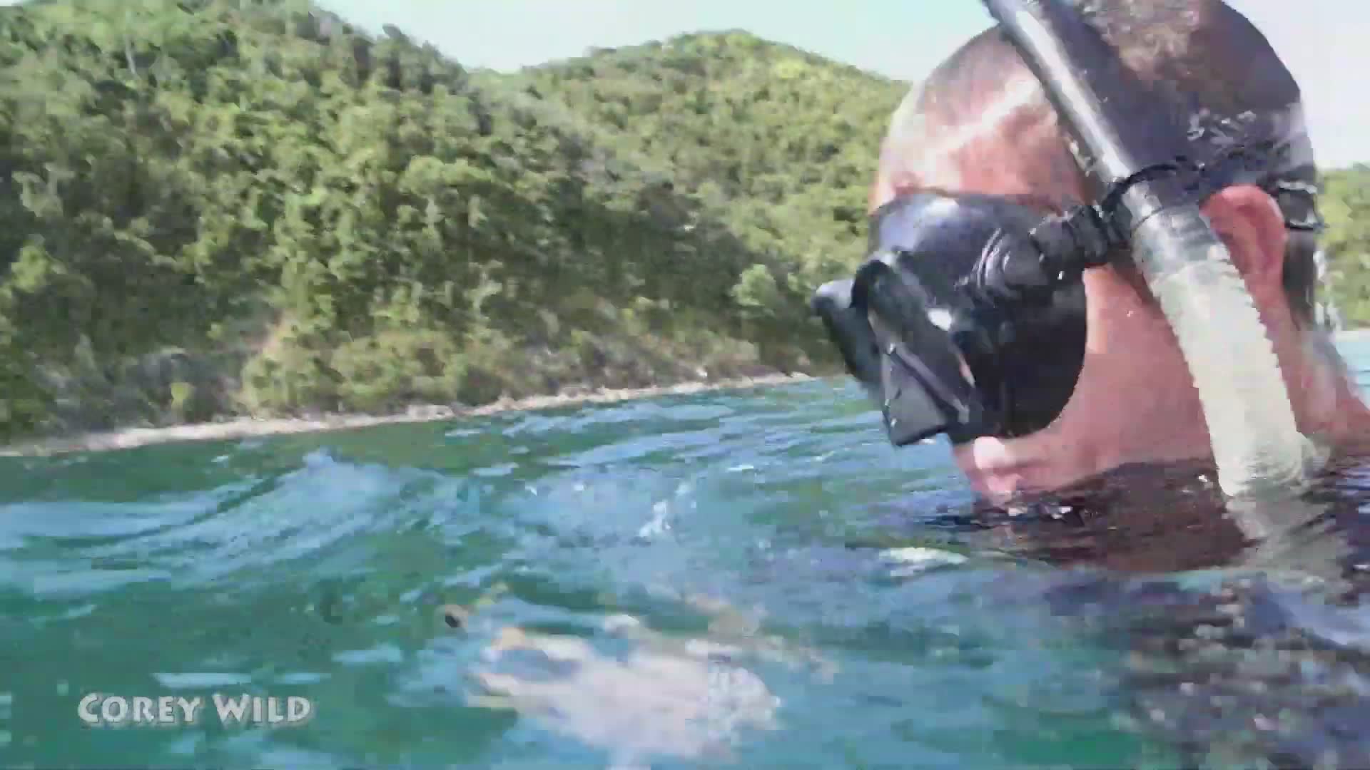 Tropical coral reef travel in Philippines | Save the coral reef
