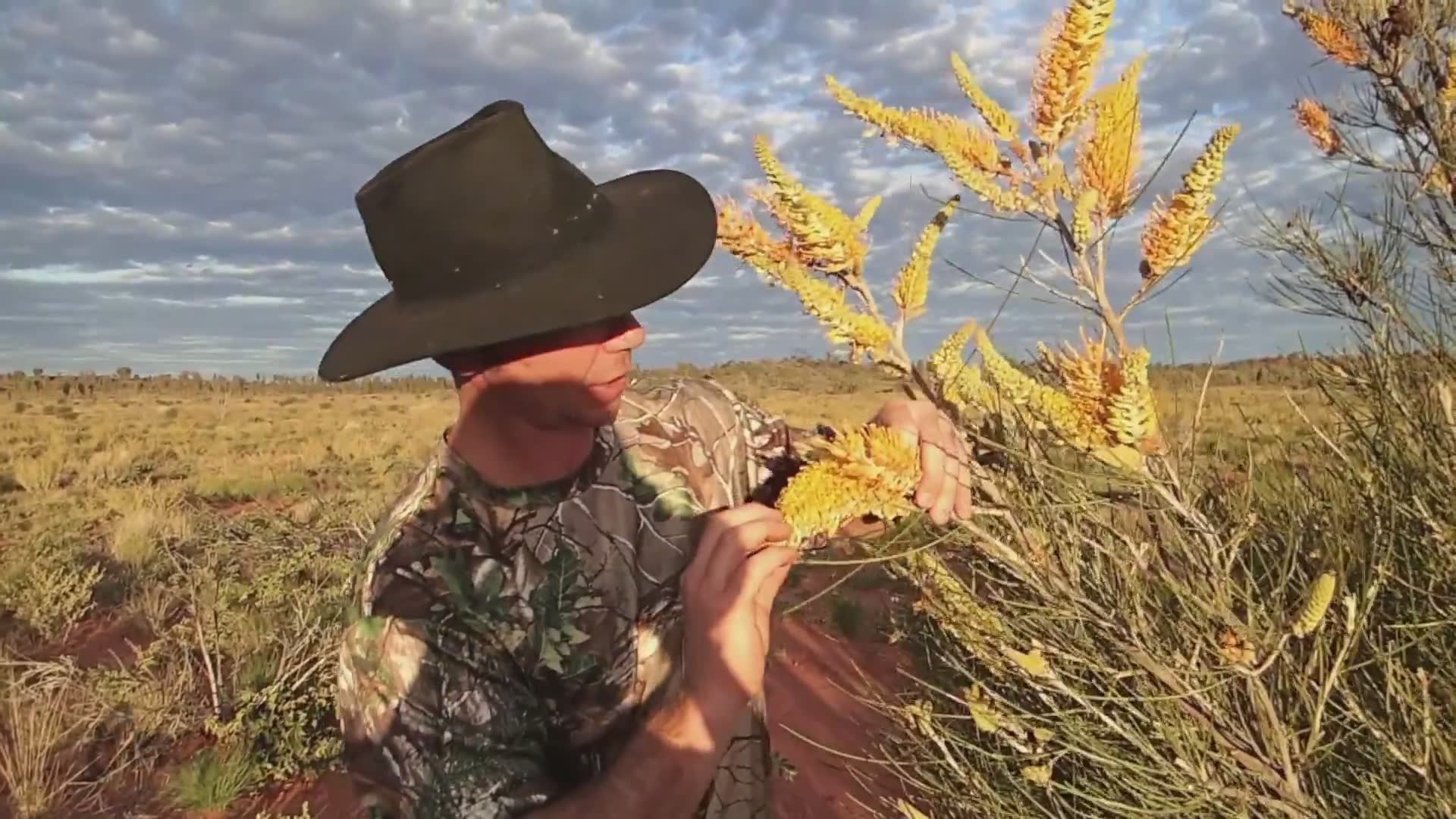 Catch and cook | Bush tucker Australia and what you can eat
