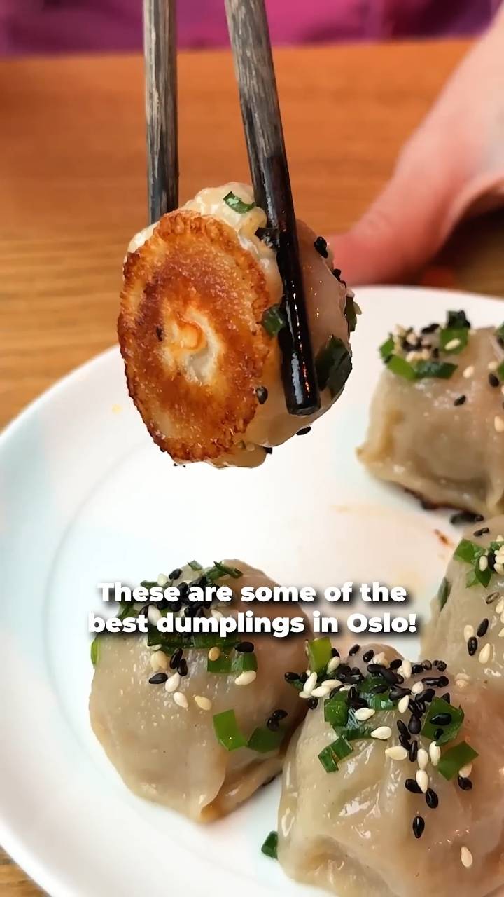 Dumpling AS har noen av de beste dumplingene i Oslo