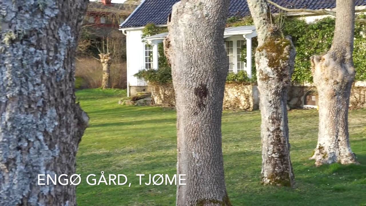 Fantastisk måltid på dette idylliske hotellet _ Engø Gård på Tjøme