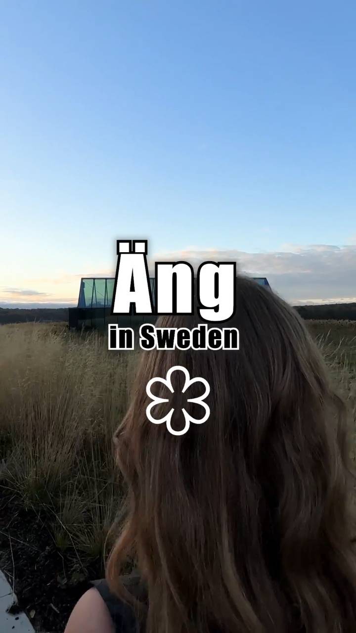 Middagsopplevelsen på Restaurant Äng i Sverige