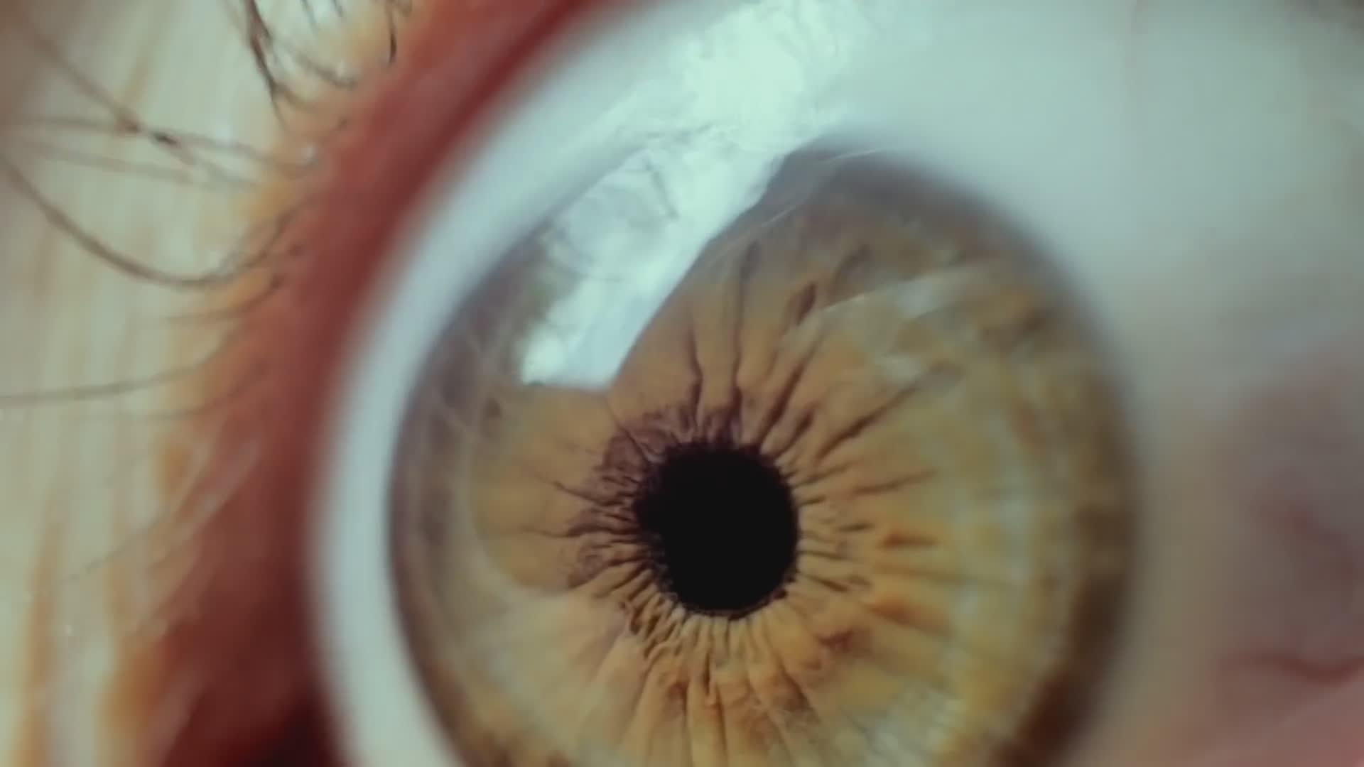 25 surprising facts about different eye shades