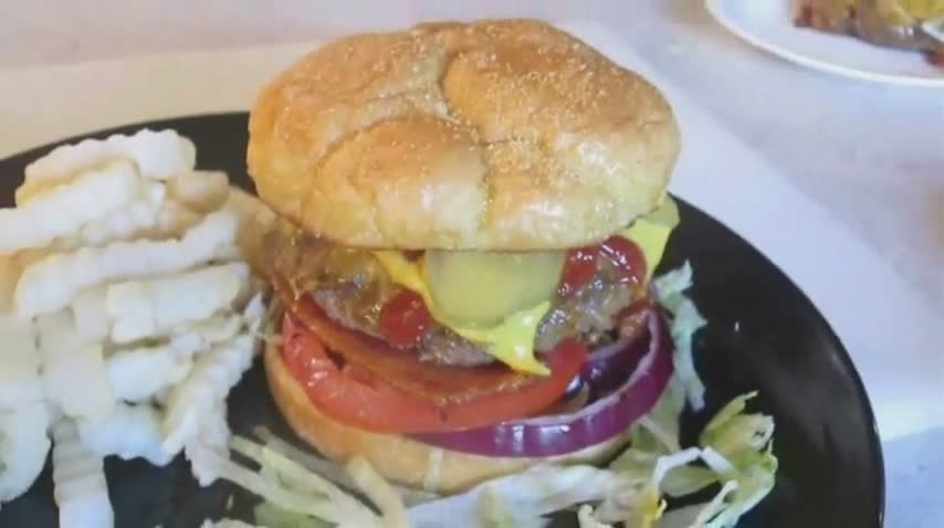 Diverse burger protein guide