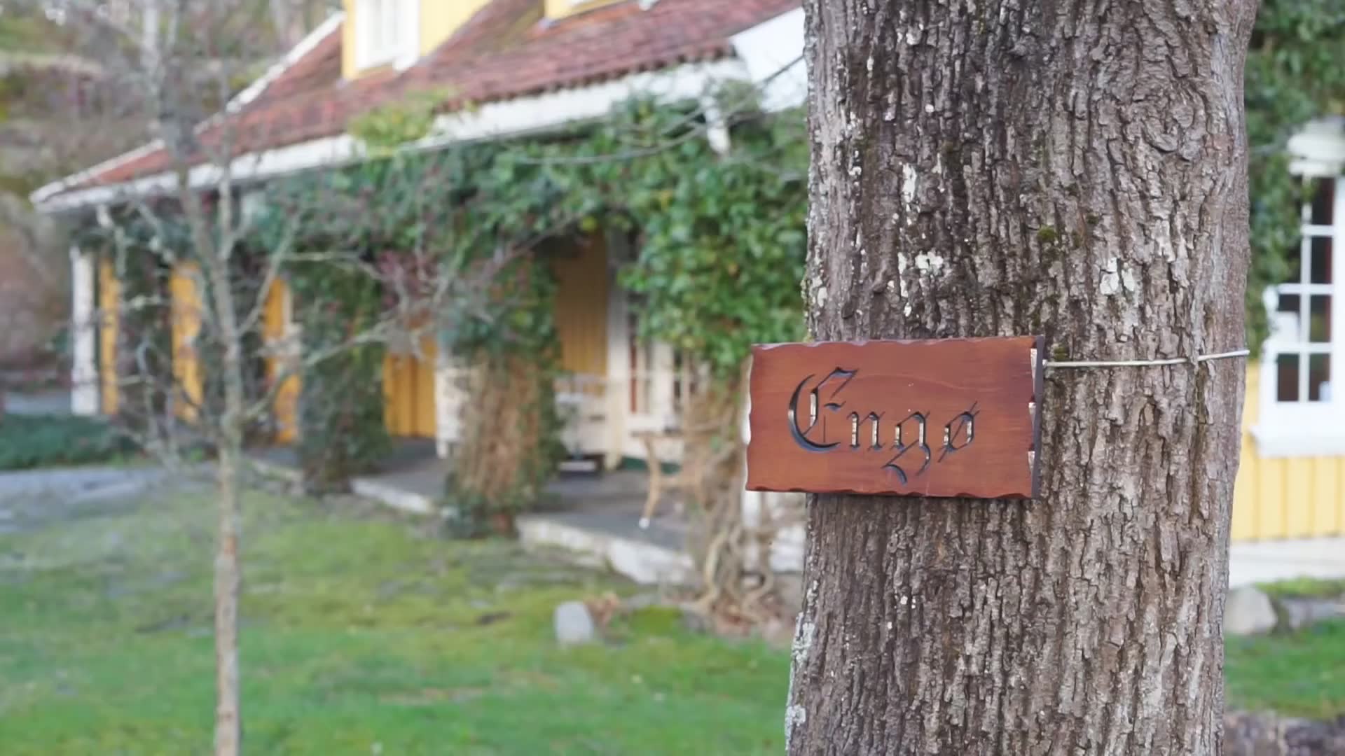 Idyllisk hotellmåltid på Tjøme