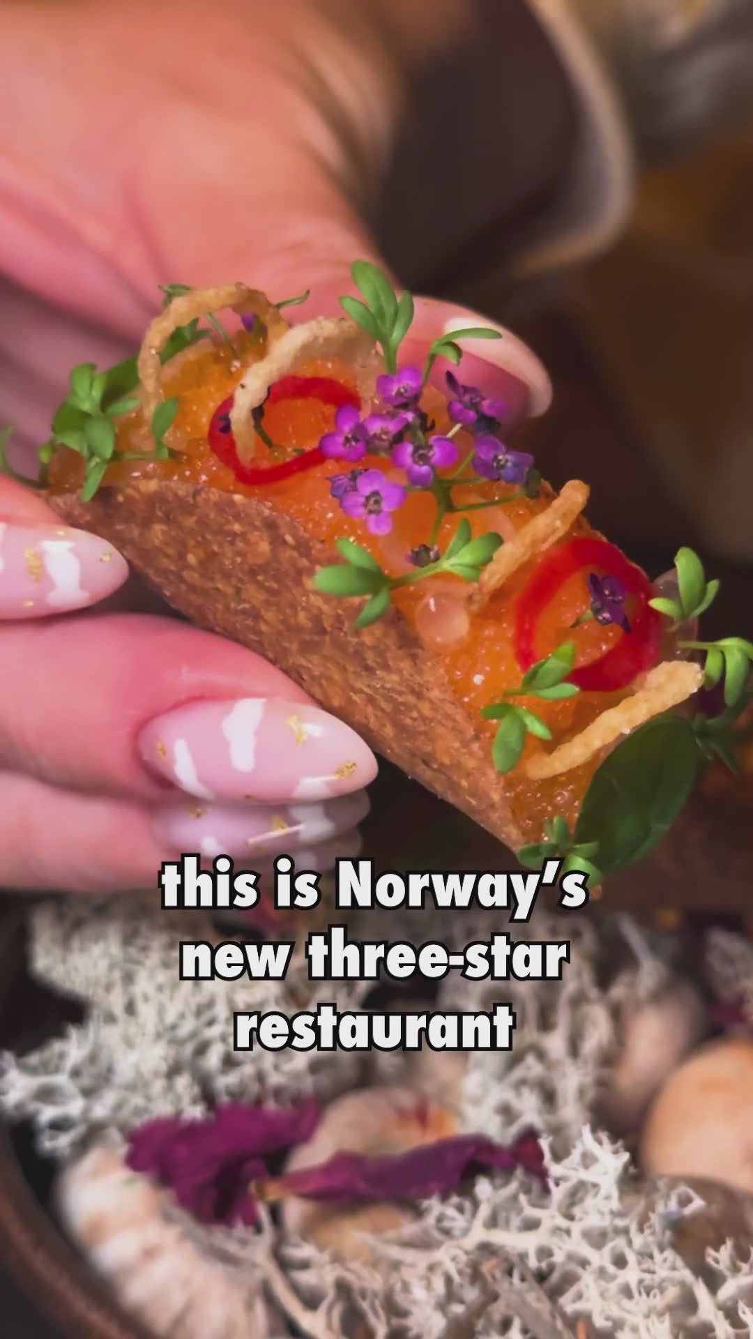 Tre-stjerne Michelin på Re-naa