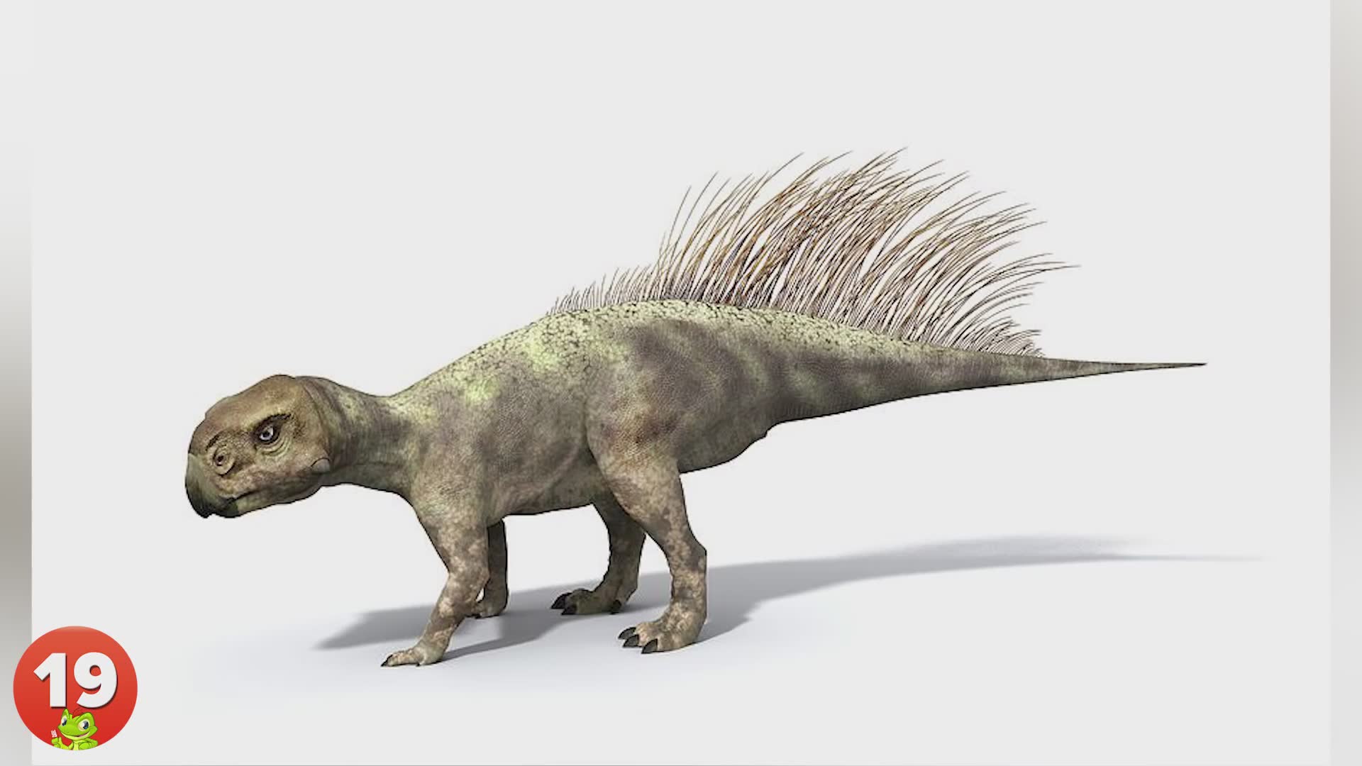20 bizarre dinosaurs that would have made great pets