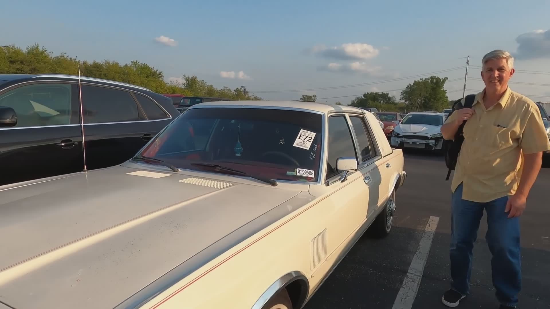 Cars are cheaper down south at this car dealer auction walk around