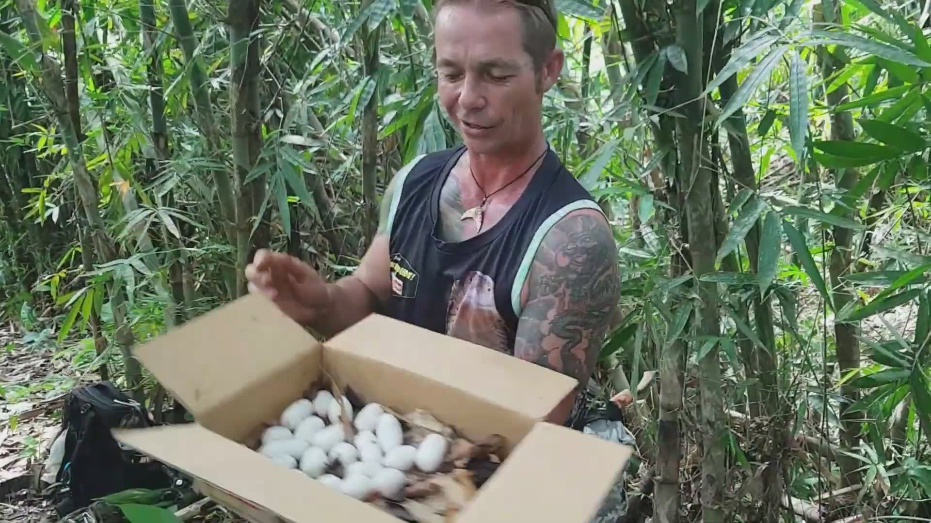 King cobra rescue mission | top 10 venomous snakes