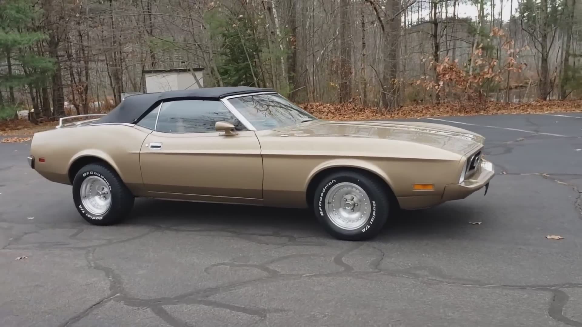 Amazing and rare car find | Ford Mustang