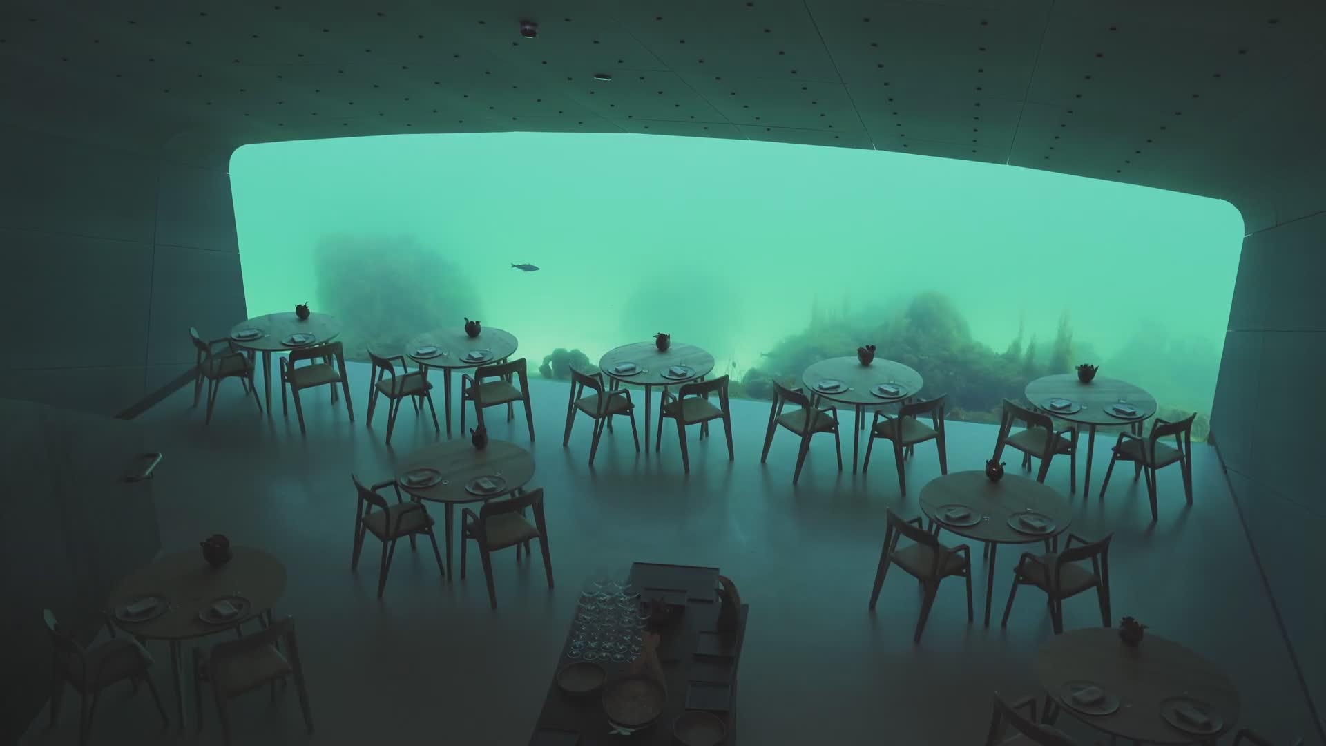Verdens største restaurant under vann | Under i Lindesnes | slik opplevde vi det
