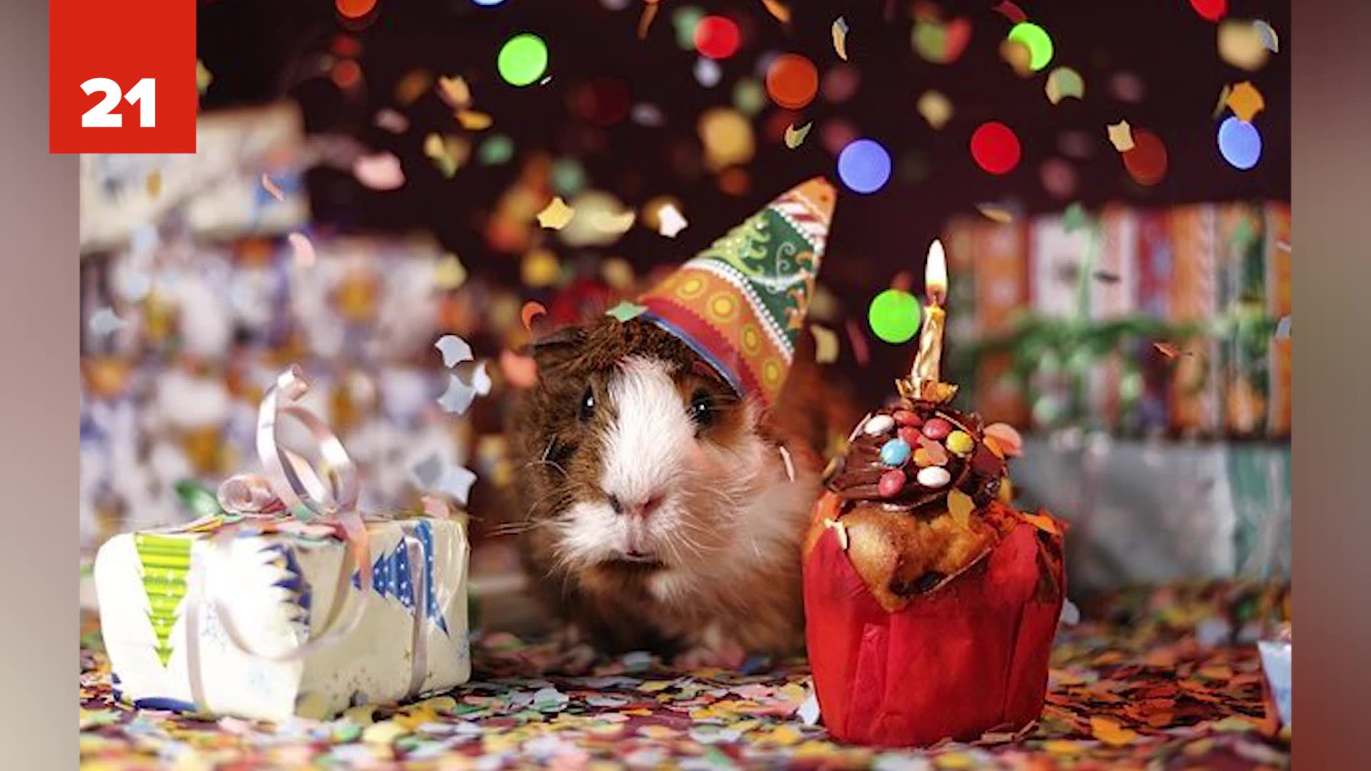25 strangest holidays that people actually celebrate