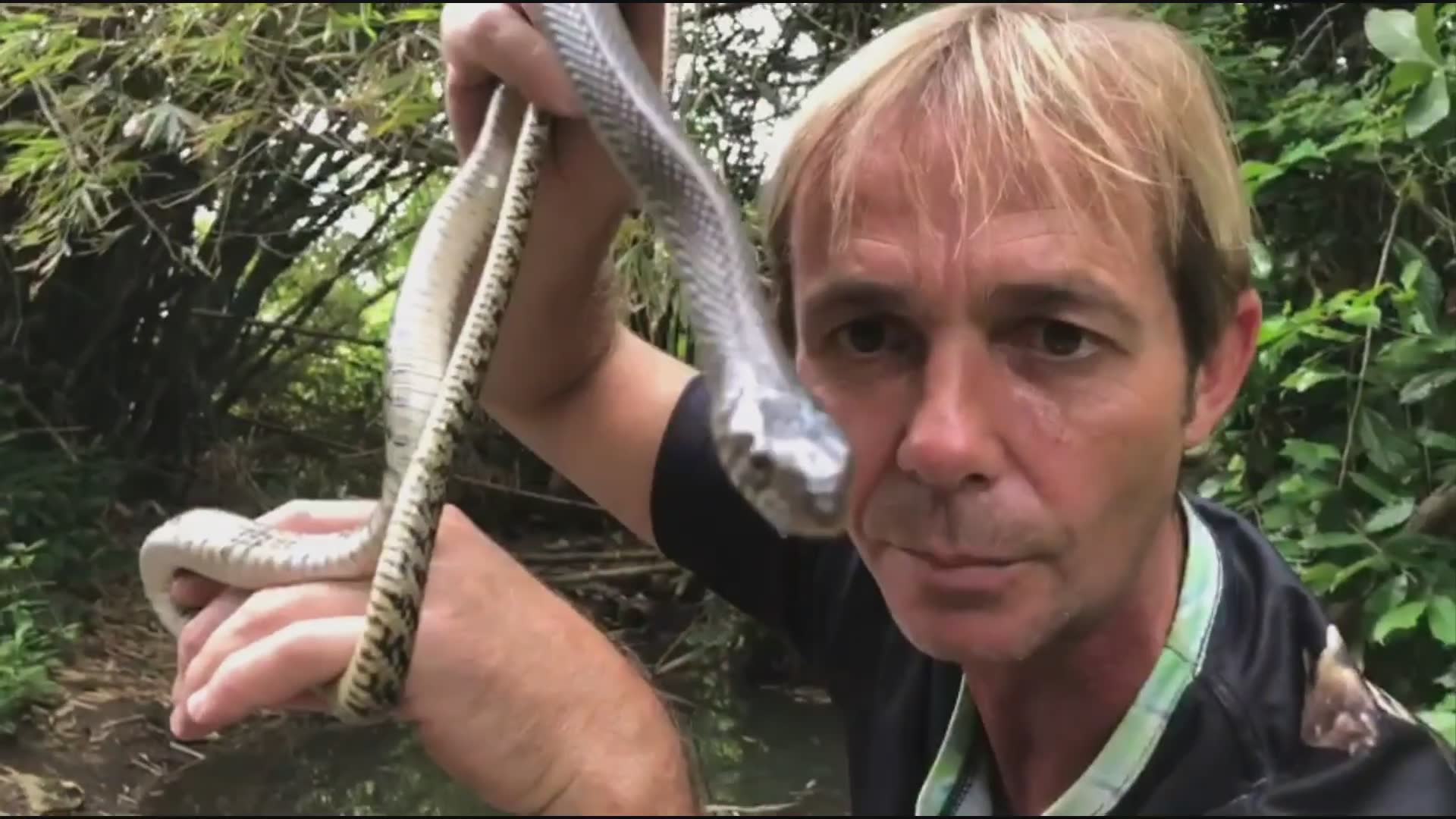 Snake discovery