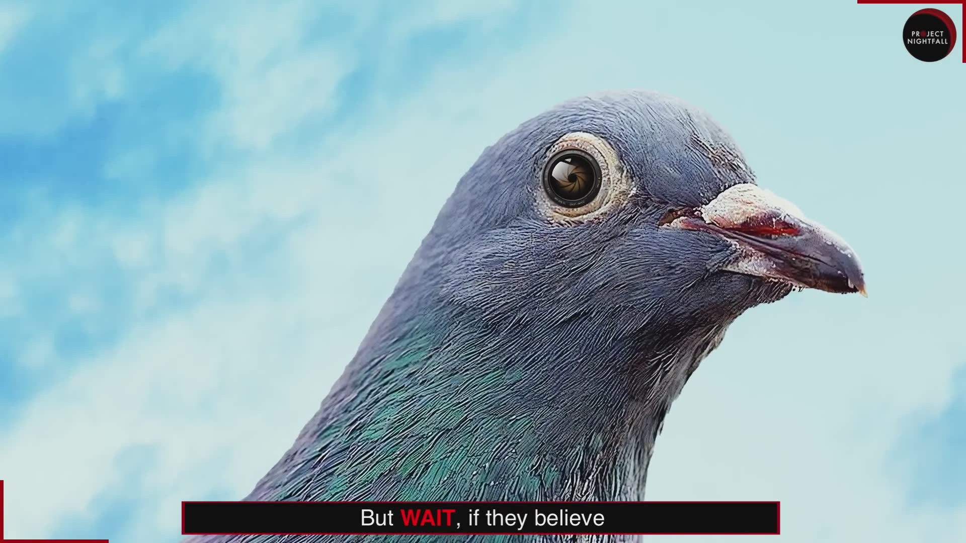 Are birds just hidden cameras watching us?