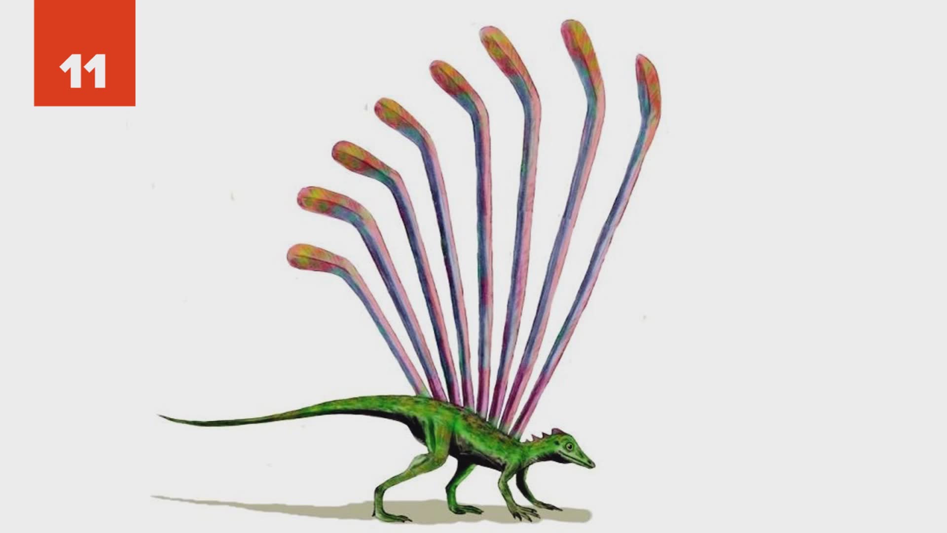 25 ancient creatures that might not have been that scary