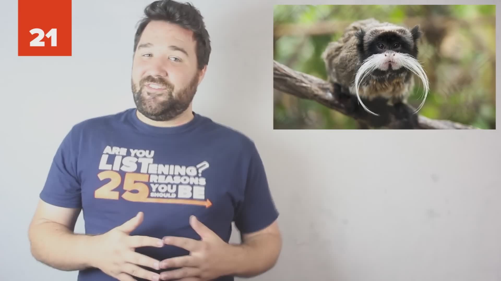 25 animal beards that outshine the biggest hipster