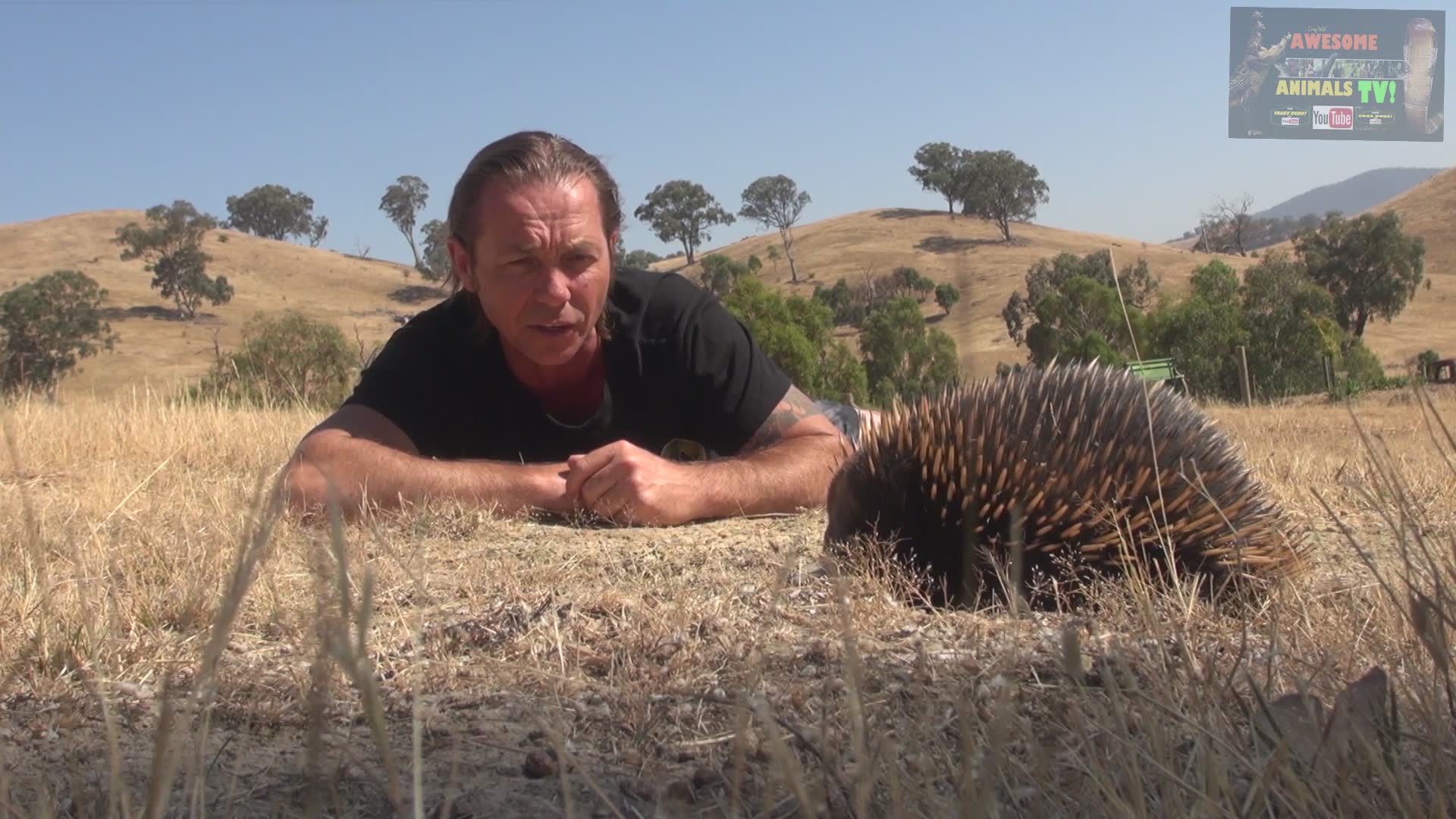 Australia's bizarre echidna and bush tucker