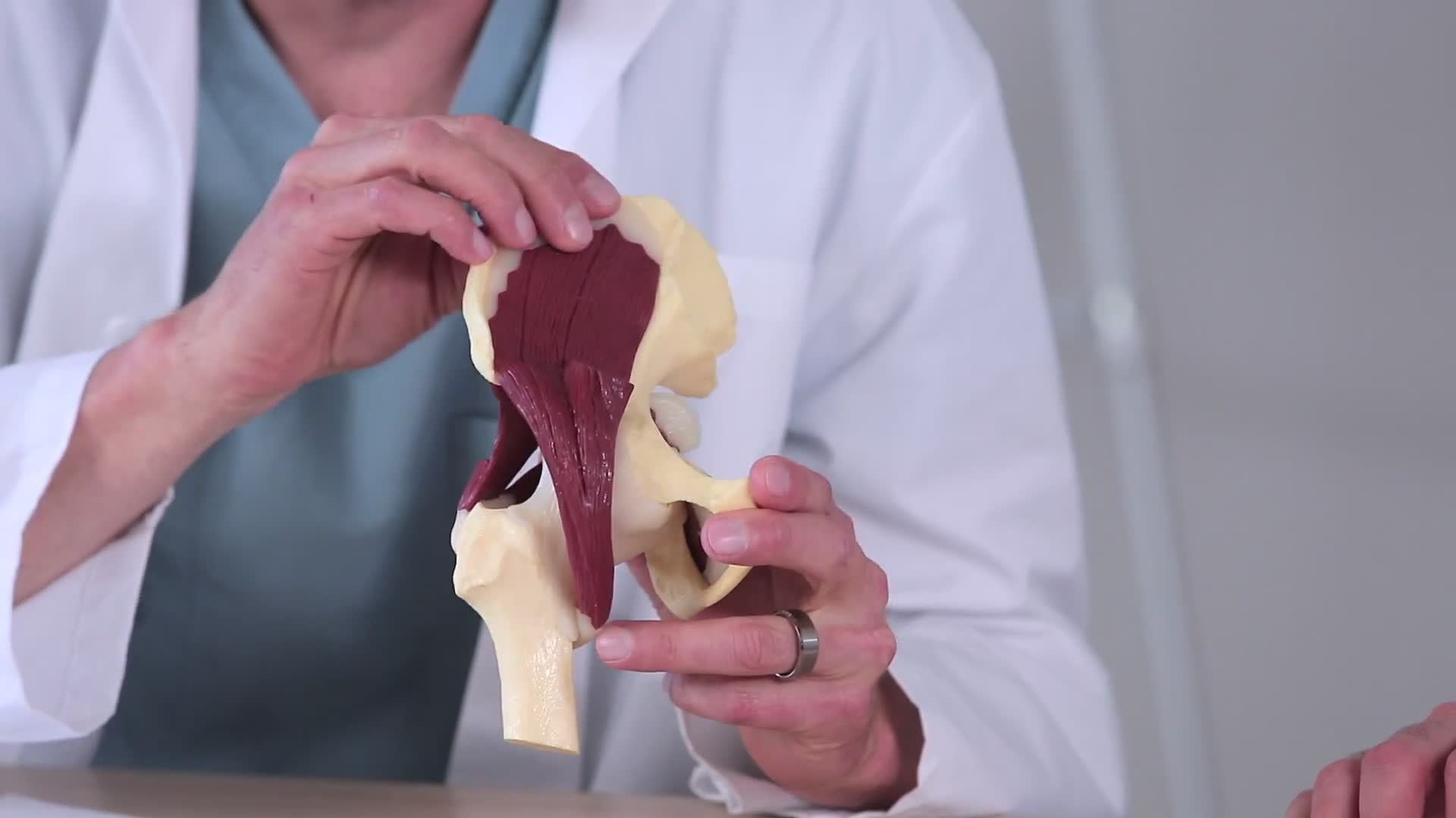 Different surgical approaches to the hip explained