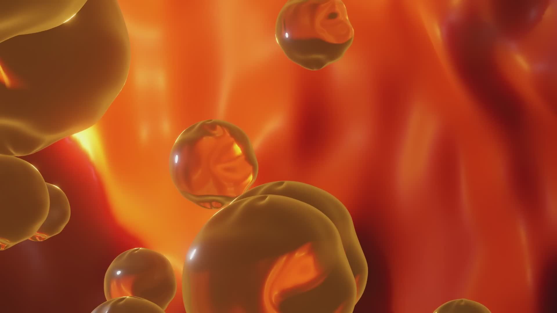 What everyone misunderstands about cholesterol