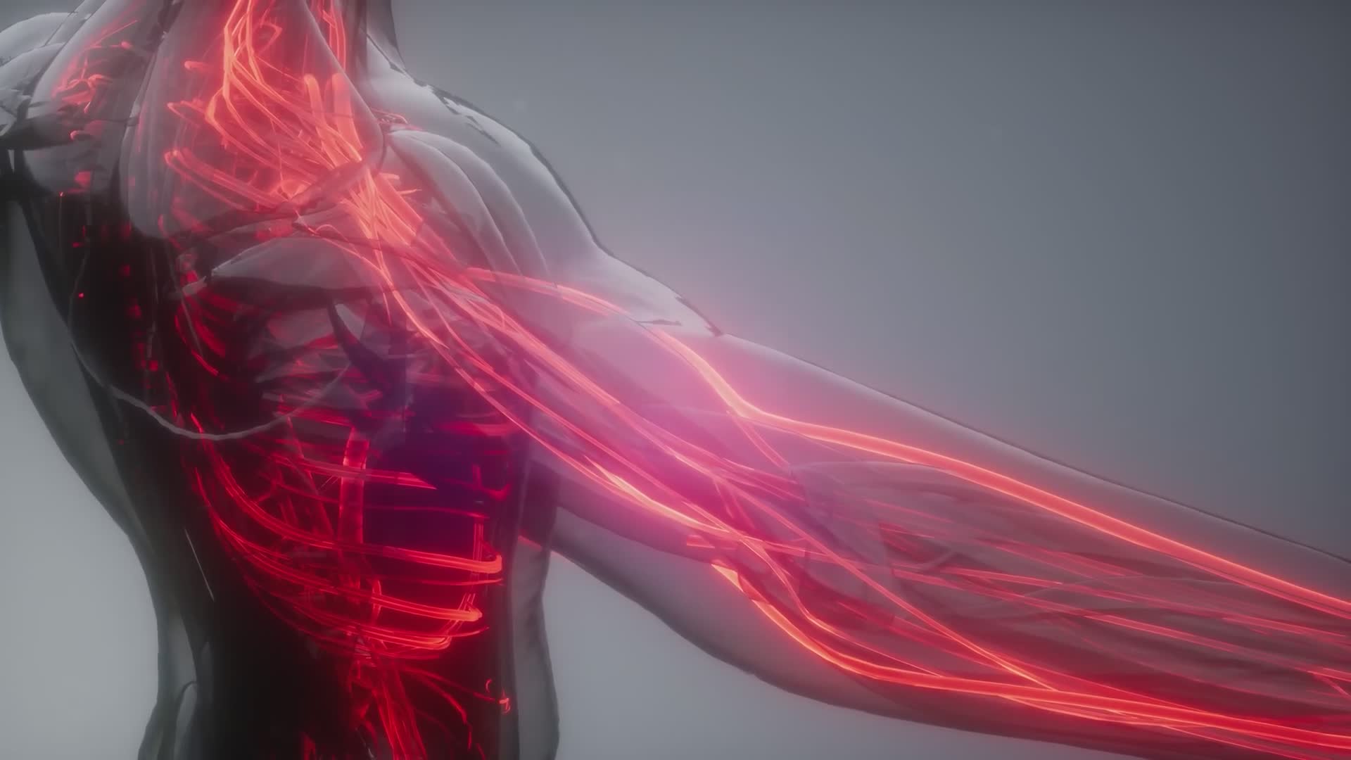 25 amazing facts about your body