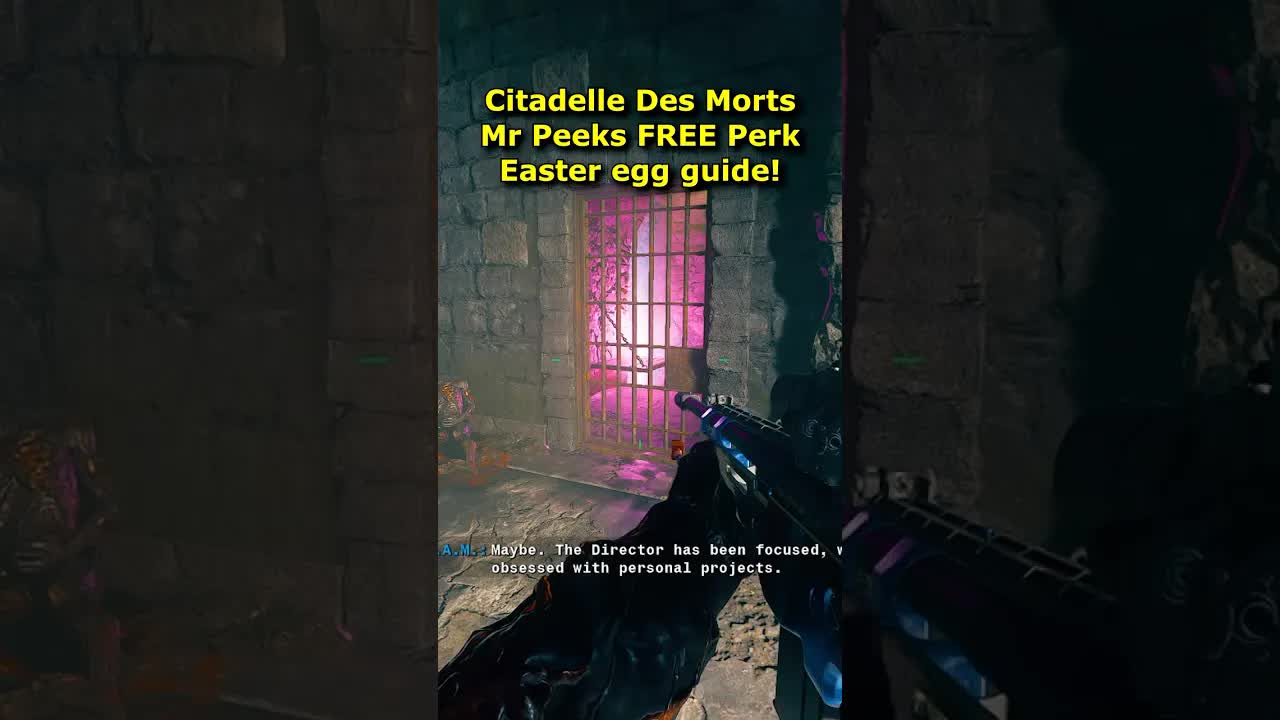 Mister Peeks FREE Perk Easter Egg Citadelle Des Morts (Black Ops 6 Zombies Mr Peeks Easter Egg!) BO6