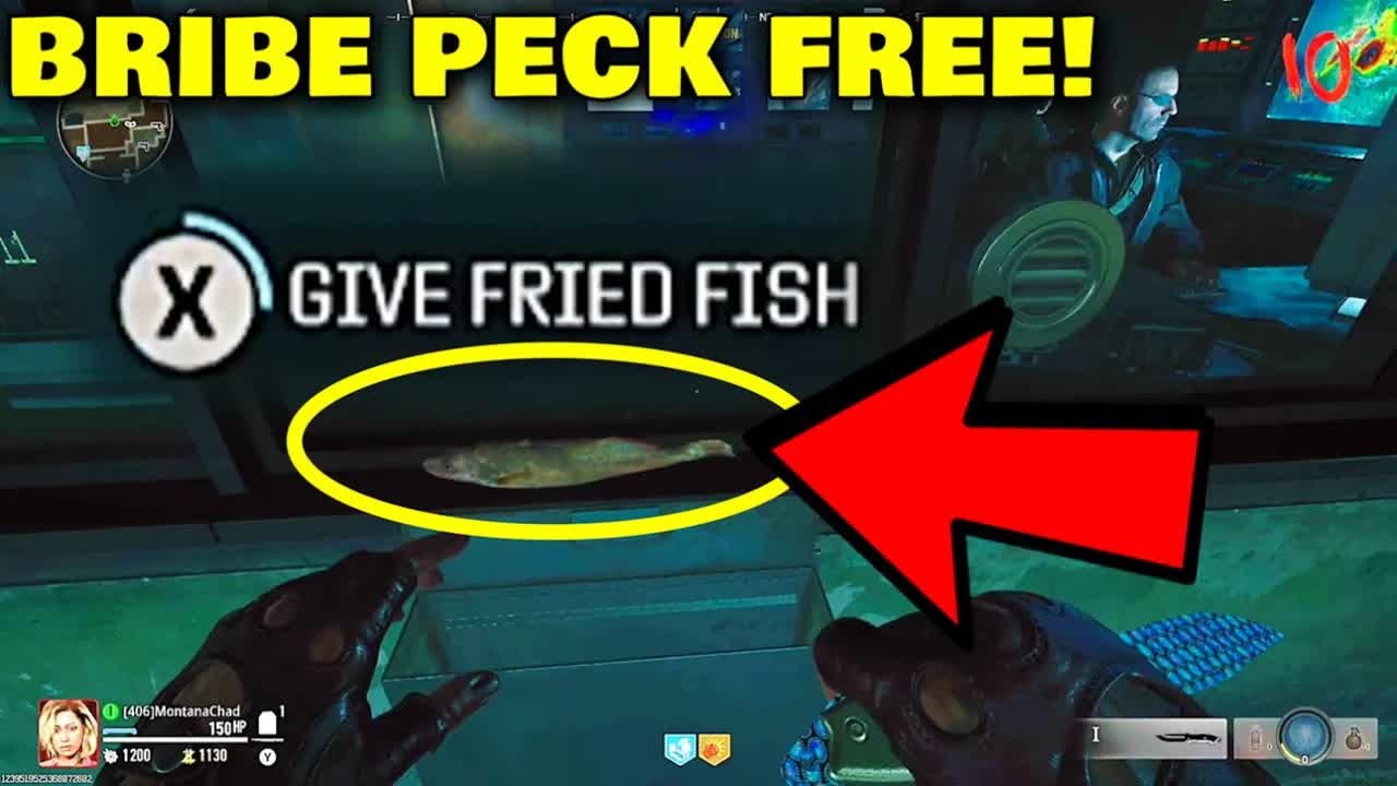 Terminus How to bribe Dr Peck for FREE! Free Beamshasher build NO Math Required! Black Ops 6 Zombies