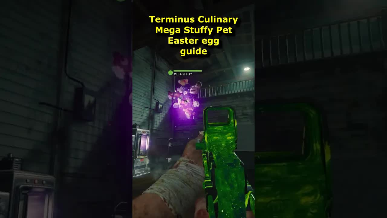 Terminus Mega Stuffy Pet Easter Egg Guide! revives you! Animal toys Easter egg (Black Ops 6 Zombies)
