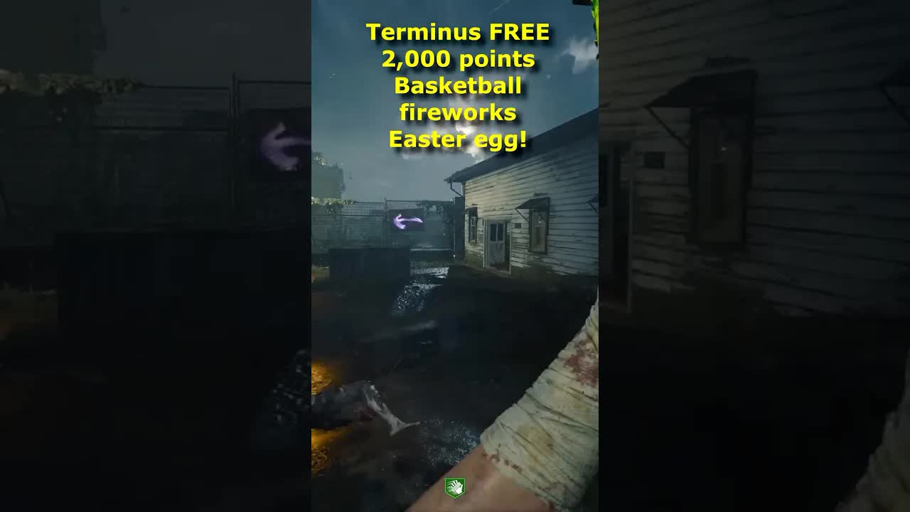 Terminus FREE 2000 Points Easter Egg Basketball Fireworks Guide! Black Ops 6 Zombies Terminus Secret