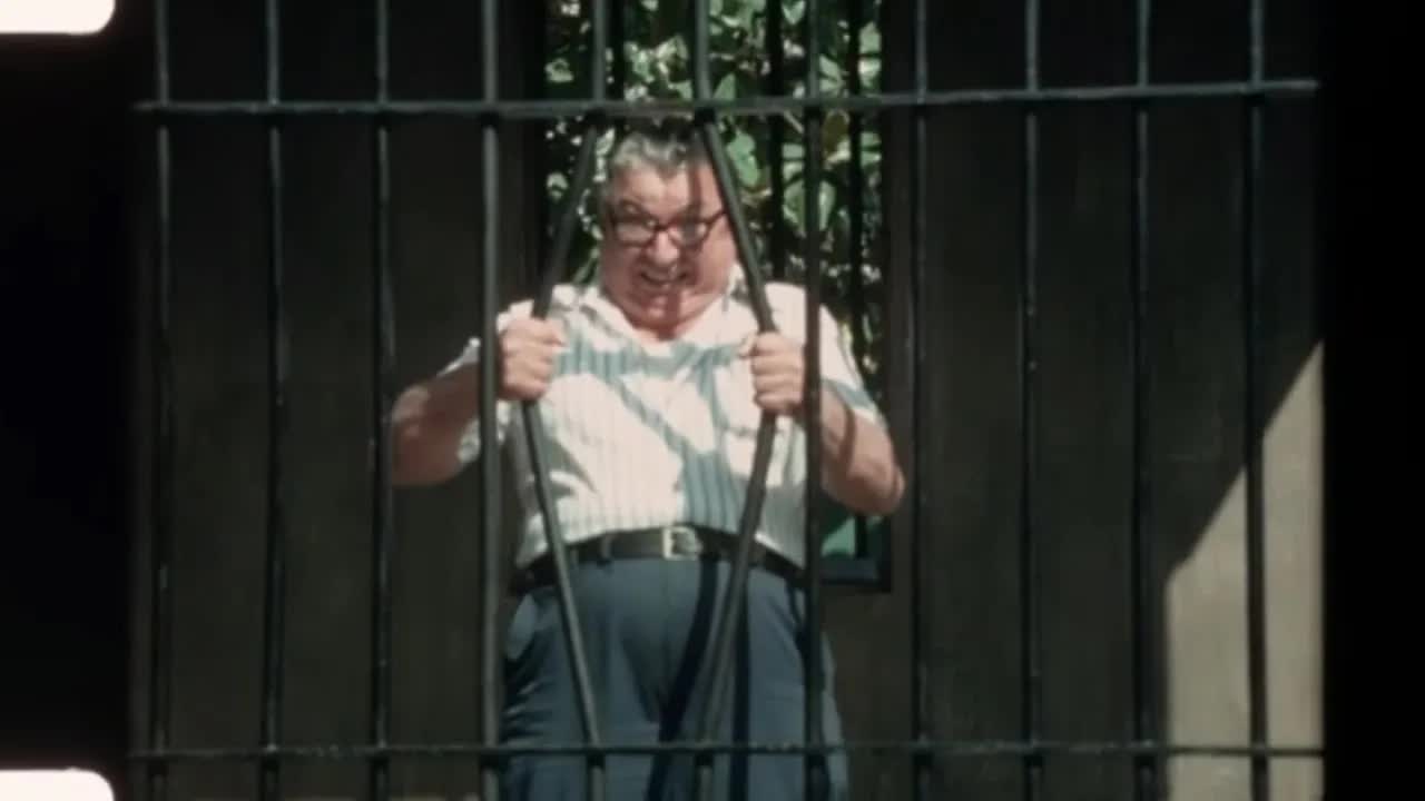 AV Geeks 16mm Lunch 10-24-2025