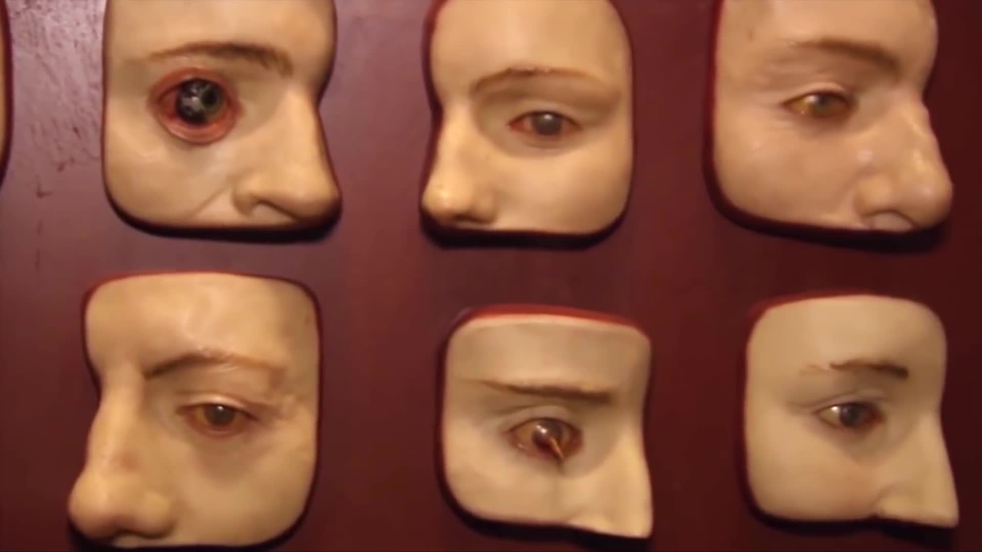 Mind-bending questions that reveal the surprising gaps in what most people think they know