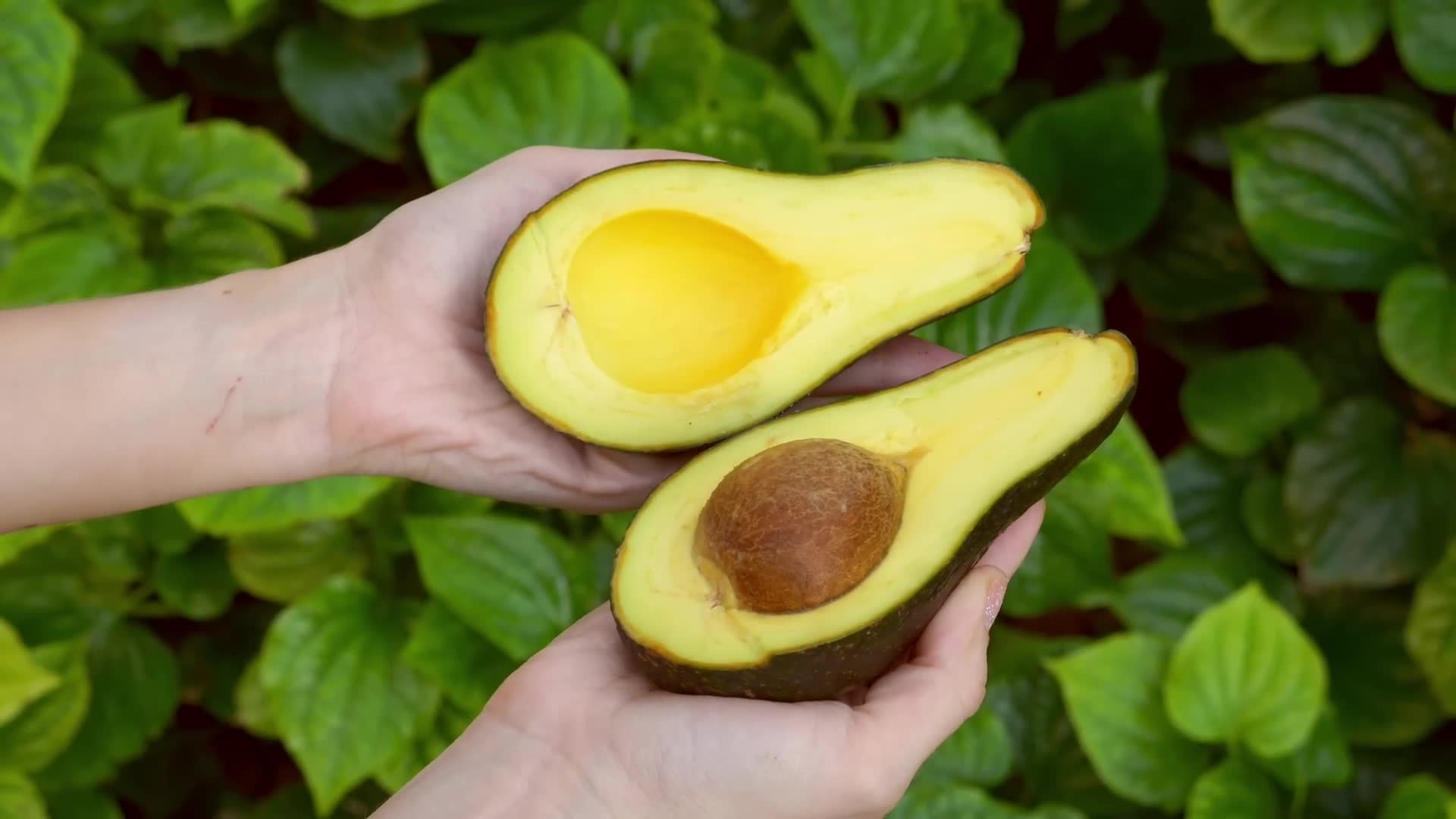 Avocado nutrition powerhouse: heart-healthy fats and nutrients beyond their culinary appeal
