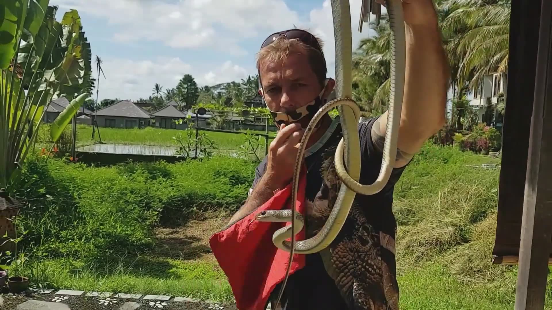 Snake venomous warning