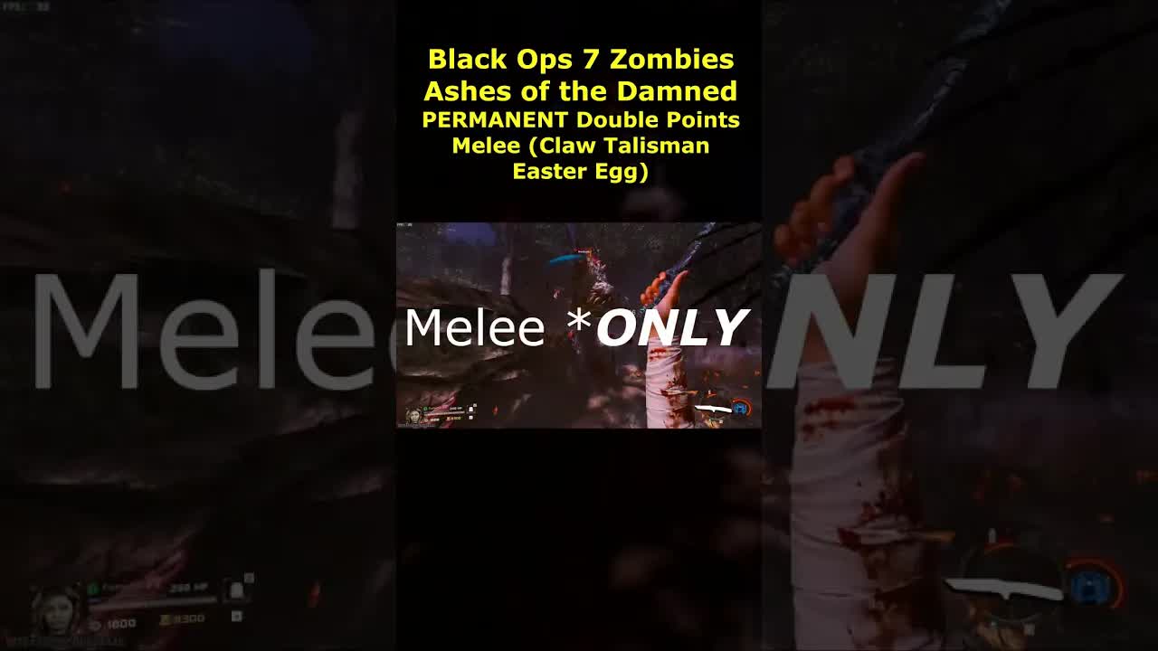 Ashes of the Damned PERMANENT Melee Double Points Claw Talisman Easter Egg Guide Bear (BO7 Zombies)
