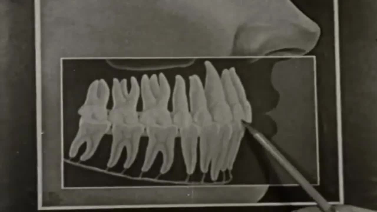 The Smiles Have It (1940)