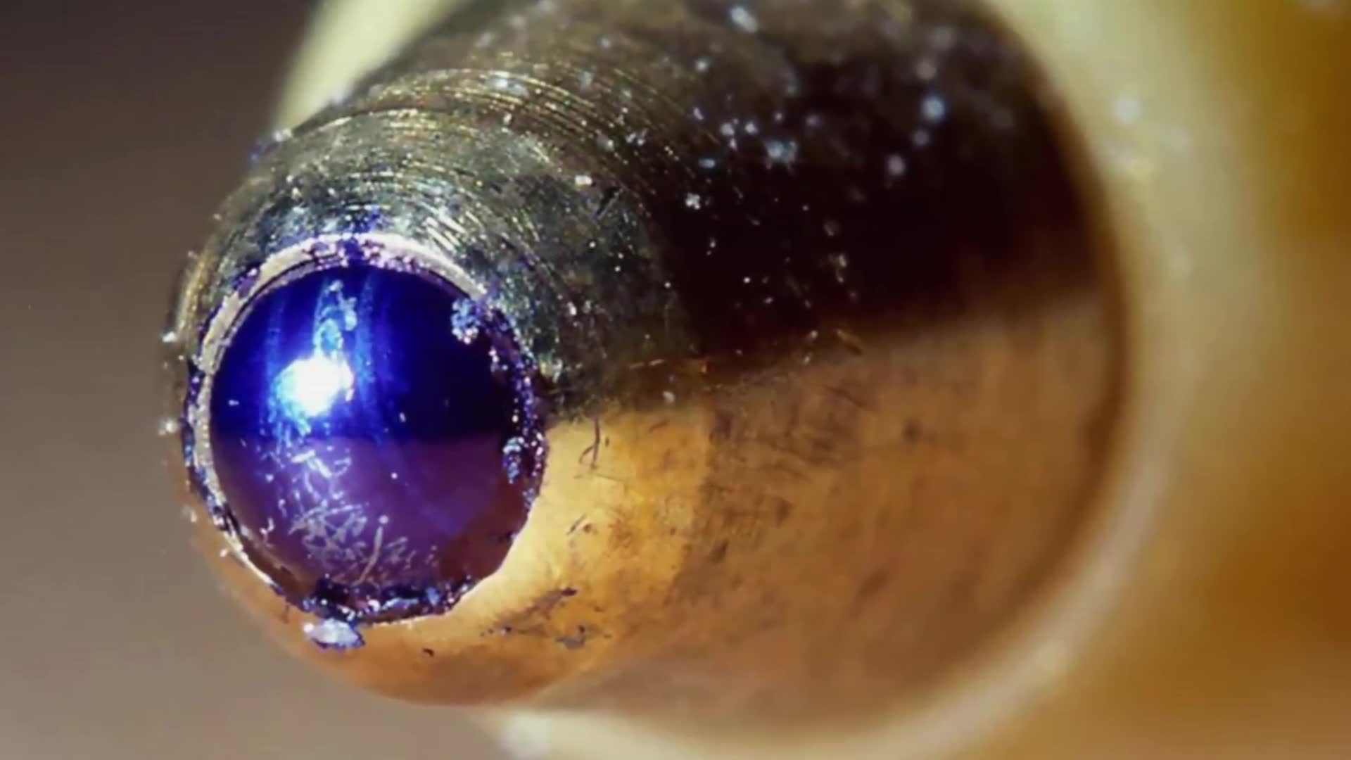 Ordinary inventions whose impact fundamentally transformed human civilization