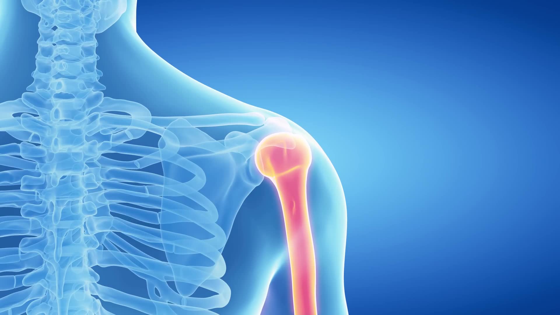 Bone density testing options: DEXA scans, REMS technology, and screening recommendations)