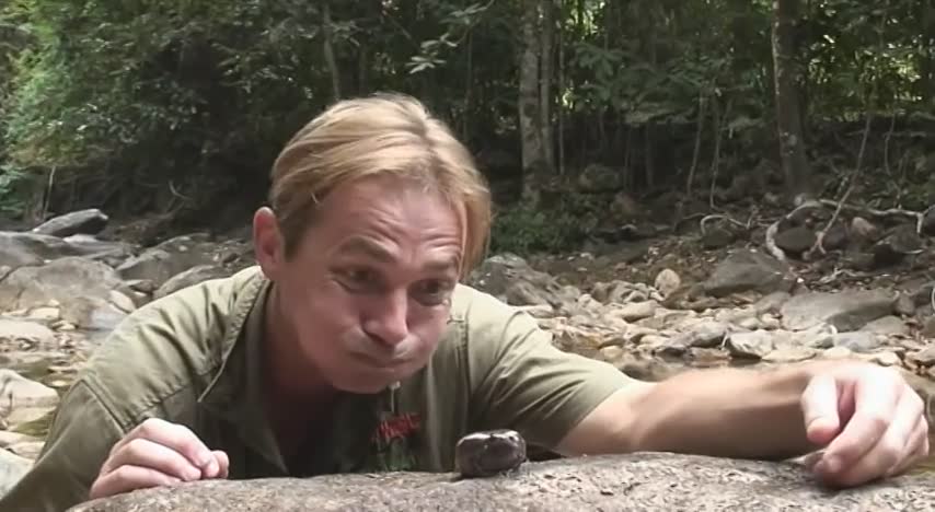 Discovering the world's top ten most interesting and unusual frog species
