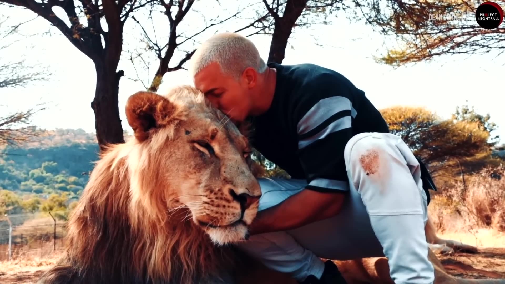 The extraordinary bond between one man and wild predators that defies natural instinct