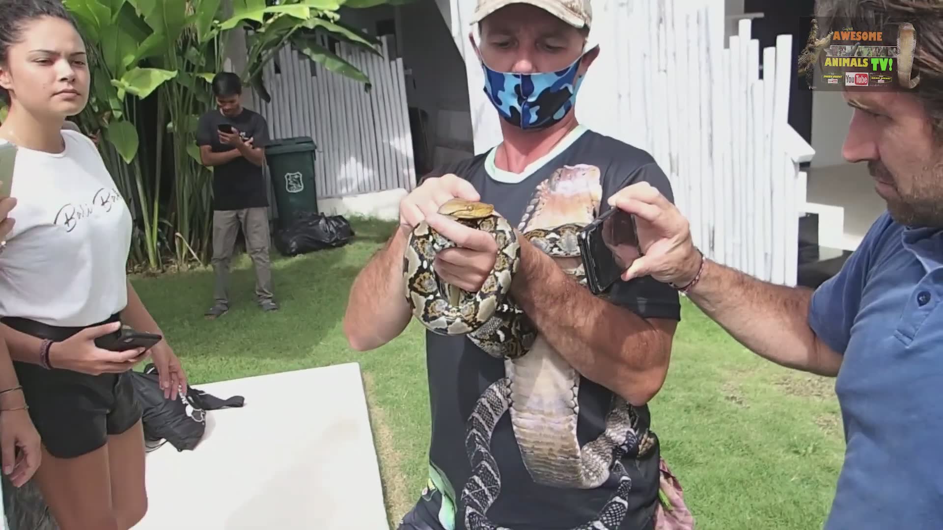 Rescuing dangerous pit vipers and pythons from populated areas