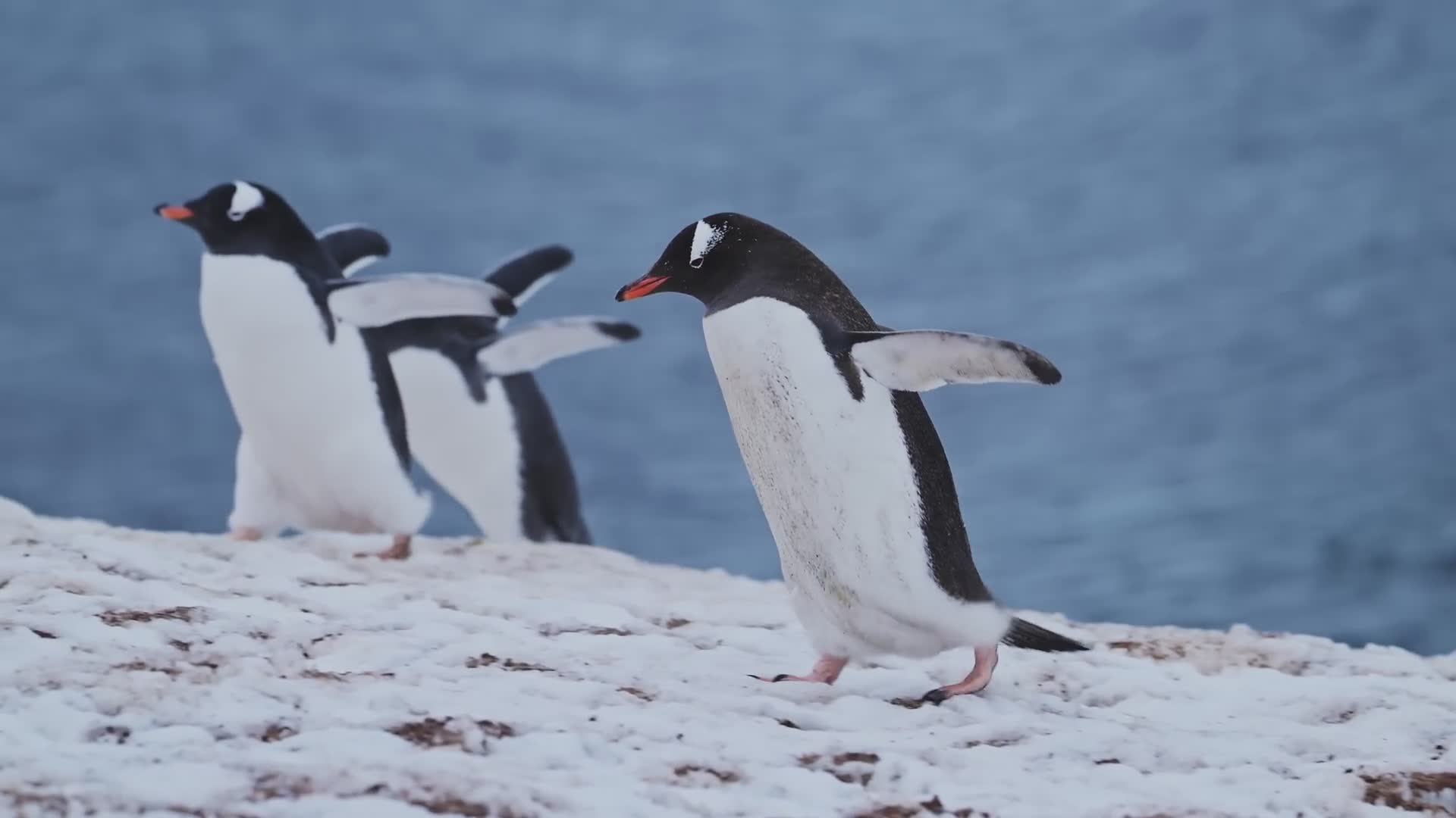Bizarre facts you won't believe are real