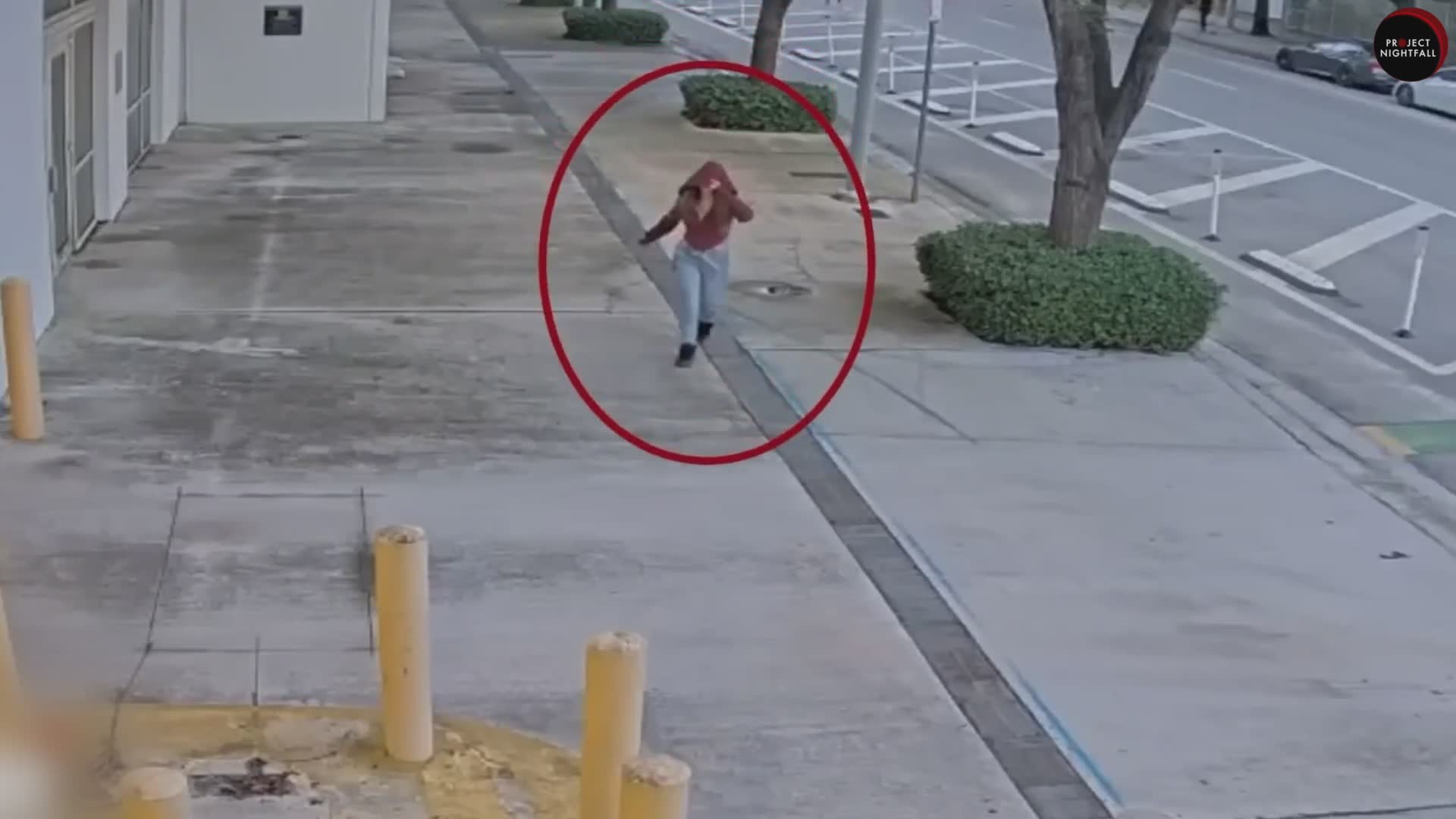 Influencer's meltdown captured after causing accident and fleeing scene