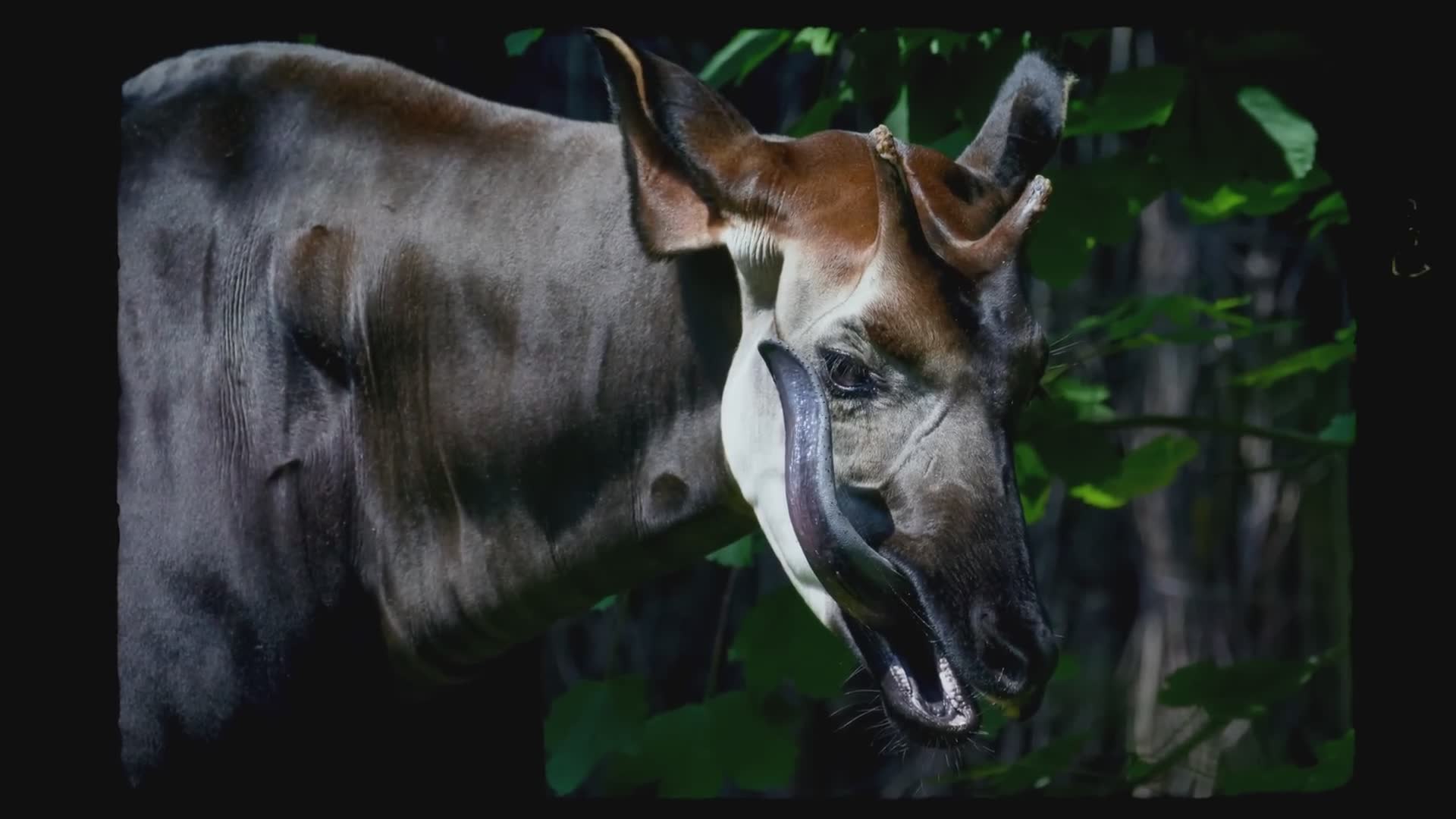 Amazing science facts that are weird wild and true